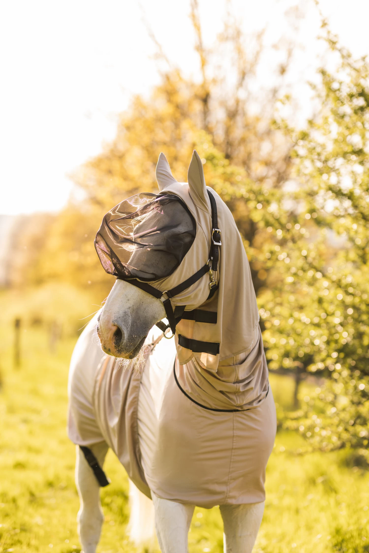 Horze Eczema Mask - Image 4