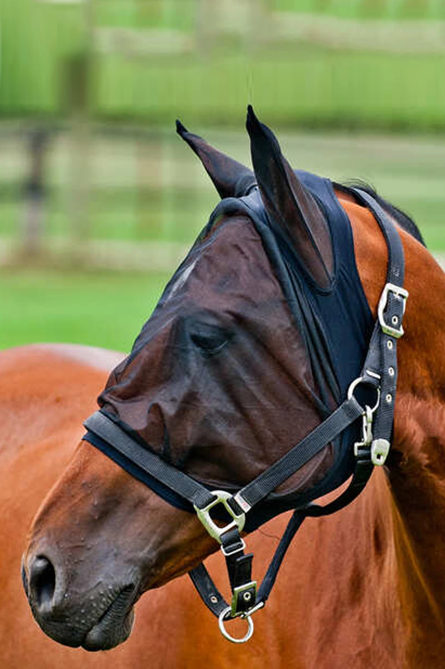 Horze Mesh Fly Mask - Image 2
