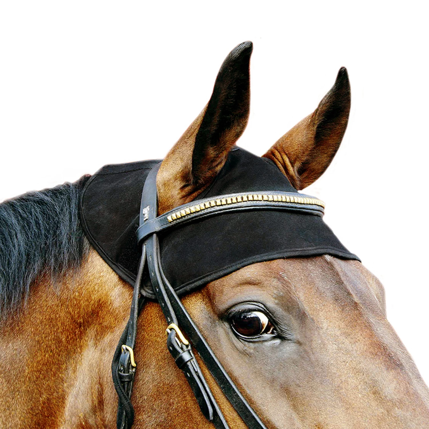 Back On Track Horse Neck Cap