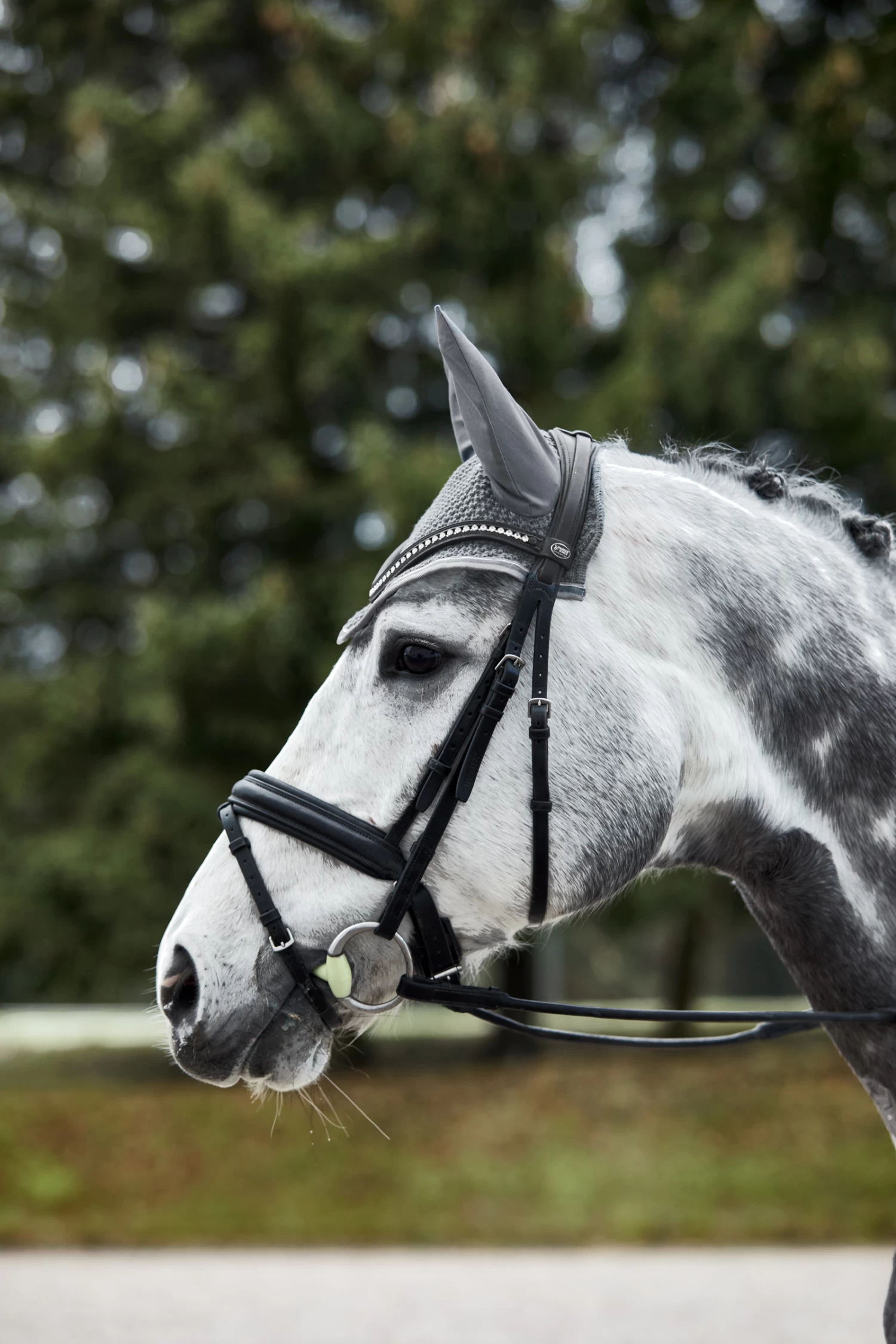 Horze Adepto Ear Net - Image 12