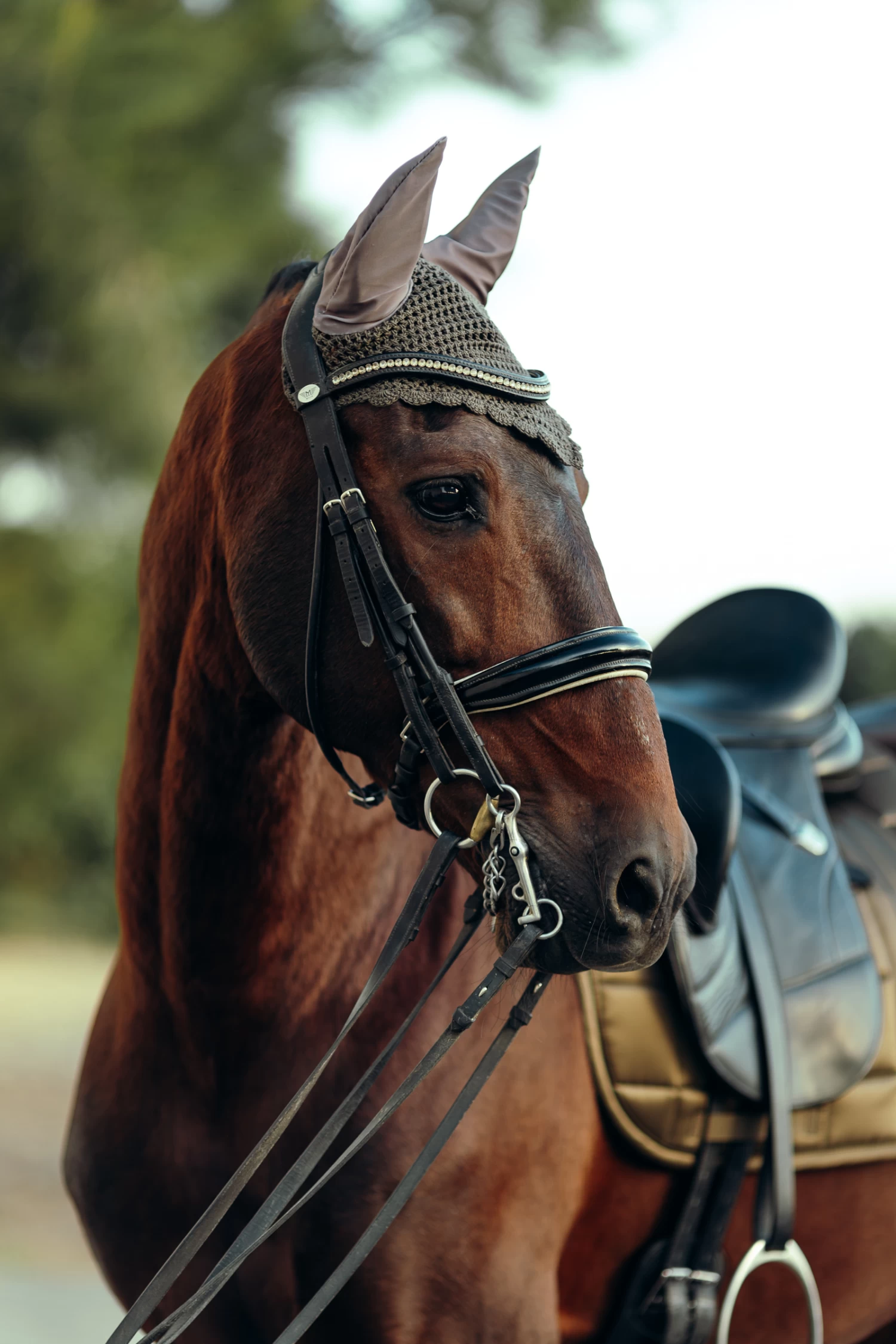 B Vertigo Drew Ear Net - Image 7