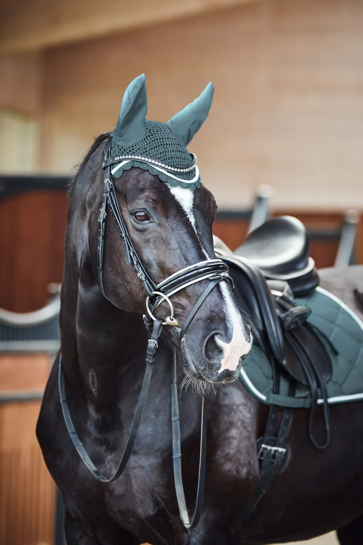 Horze Ghent Ear Net - Image 3