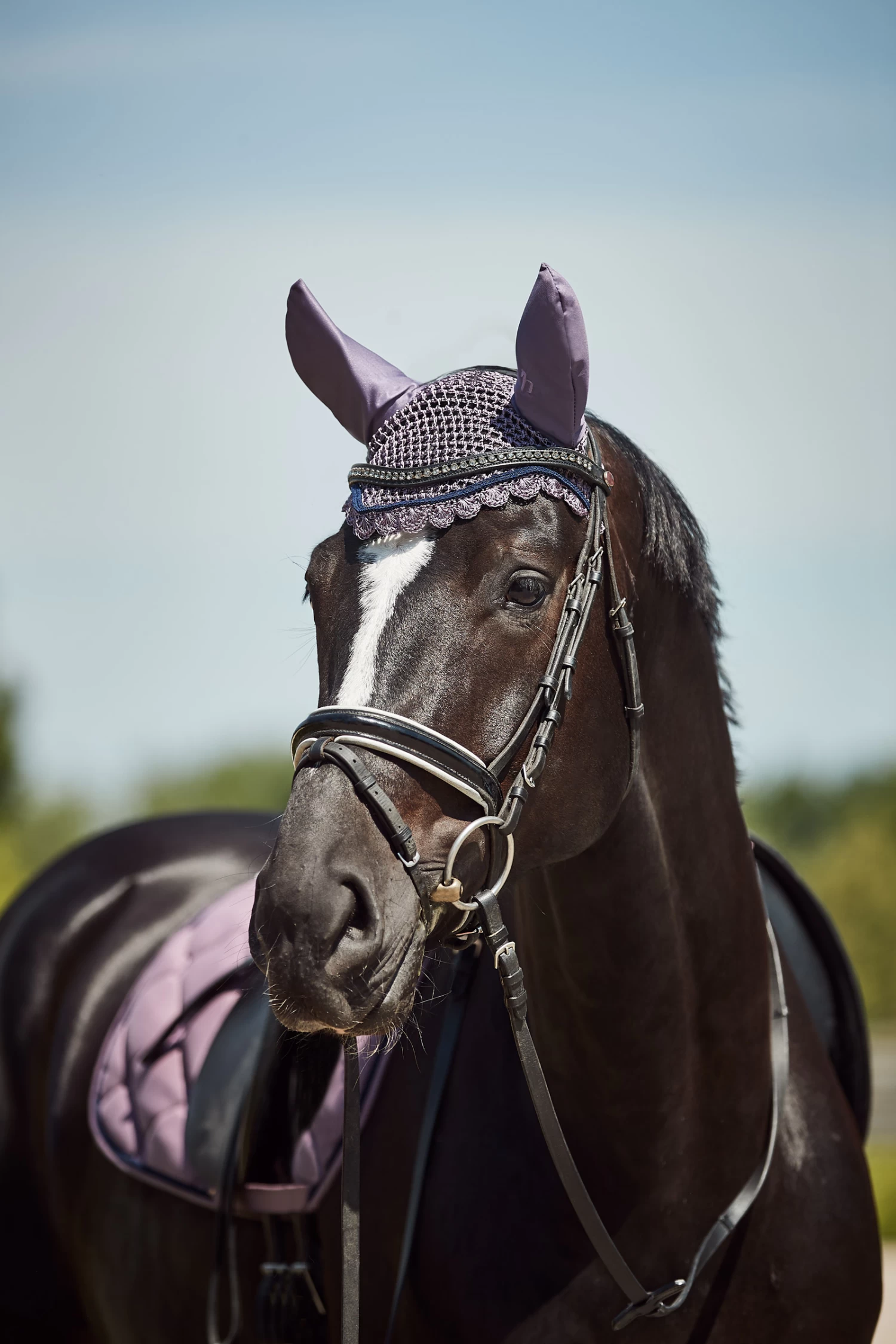 Horze Ghent Ear Net - Image 6