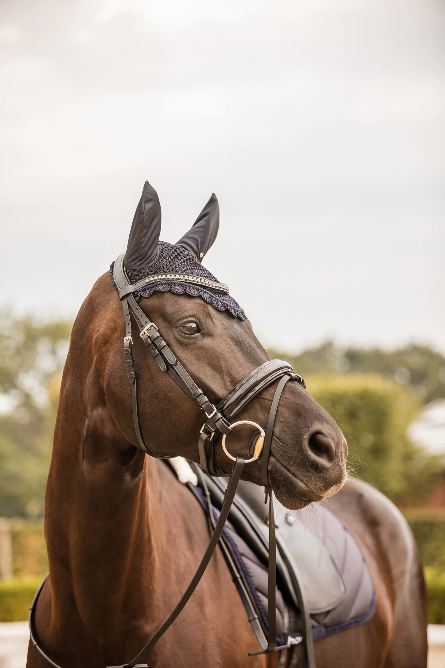 Horze Victoria Ear Net - Image 4