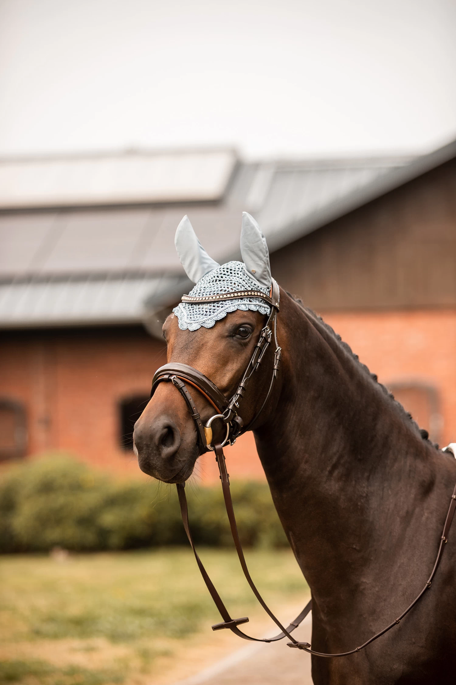 Horze Victoria Ear Net - Image 6