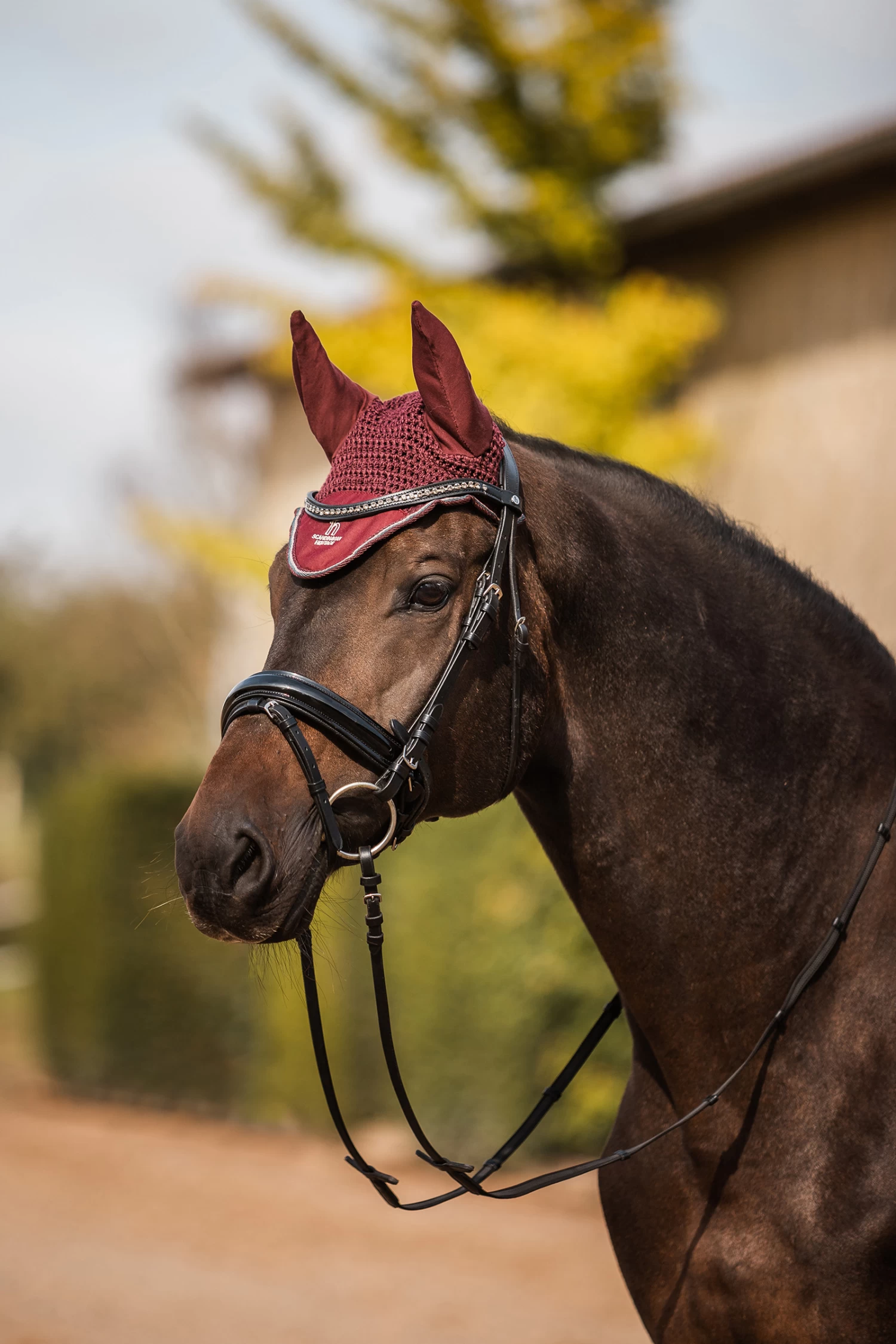 Horze Leighton Teens Collection Ear Net - Image 3