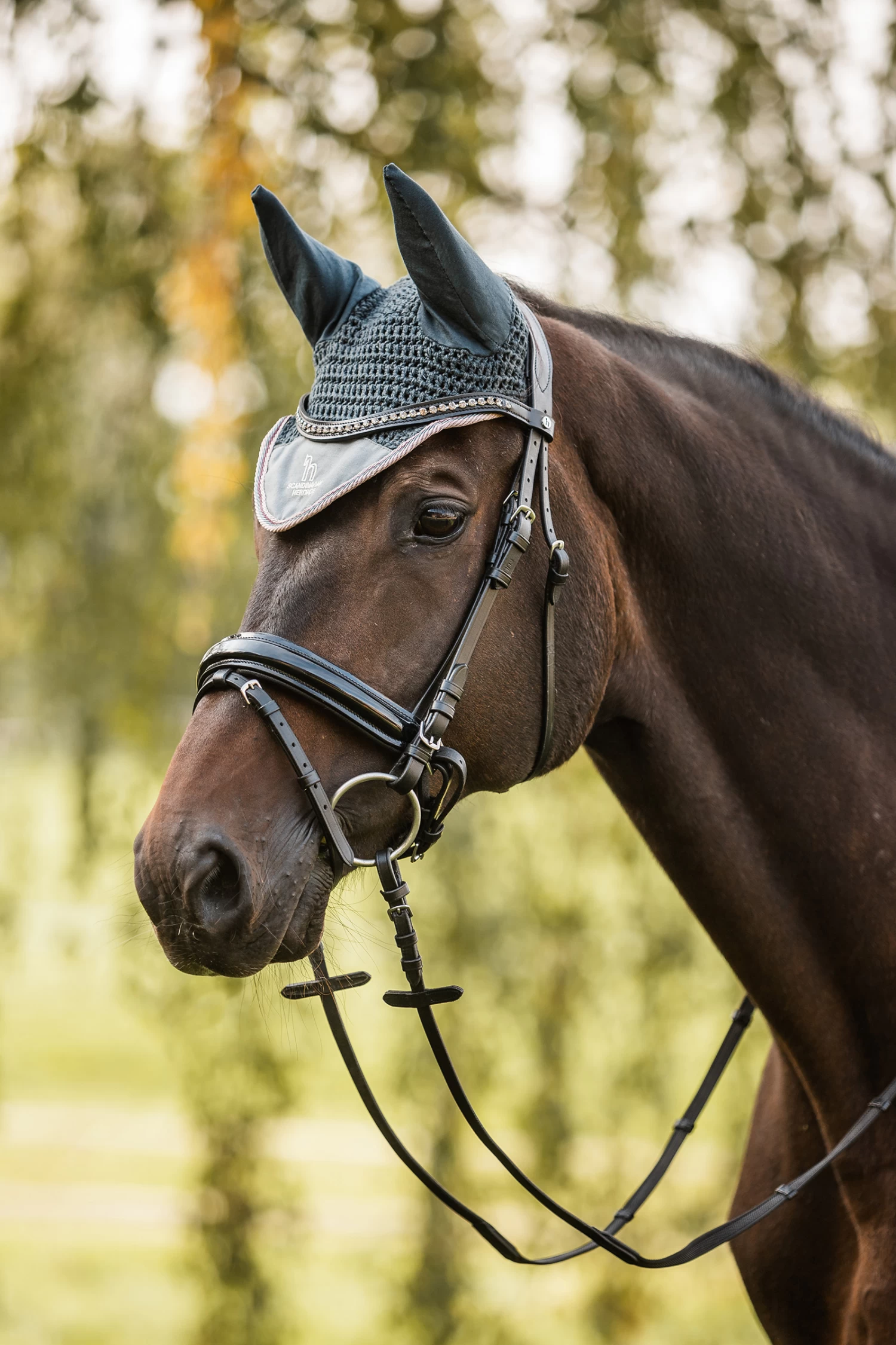 Horze Leighton Teens Collection Ear Net - Image 6