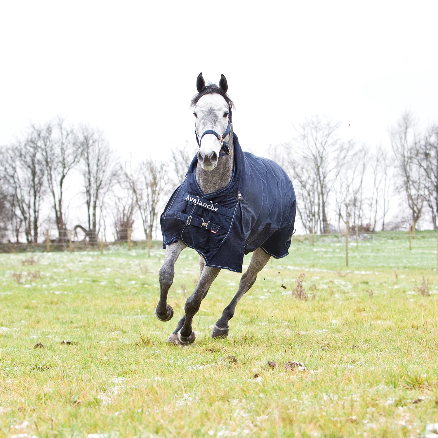 Horze Avalanche 1200D Lite Medium Turnout With Fleece - Image 4