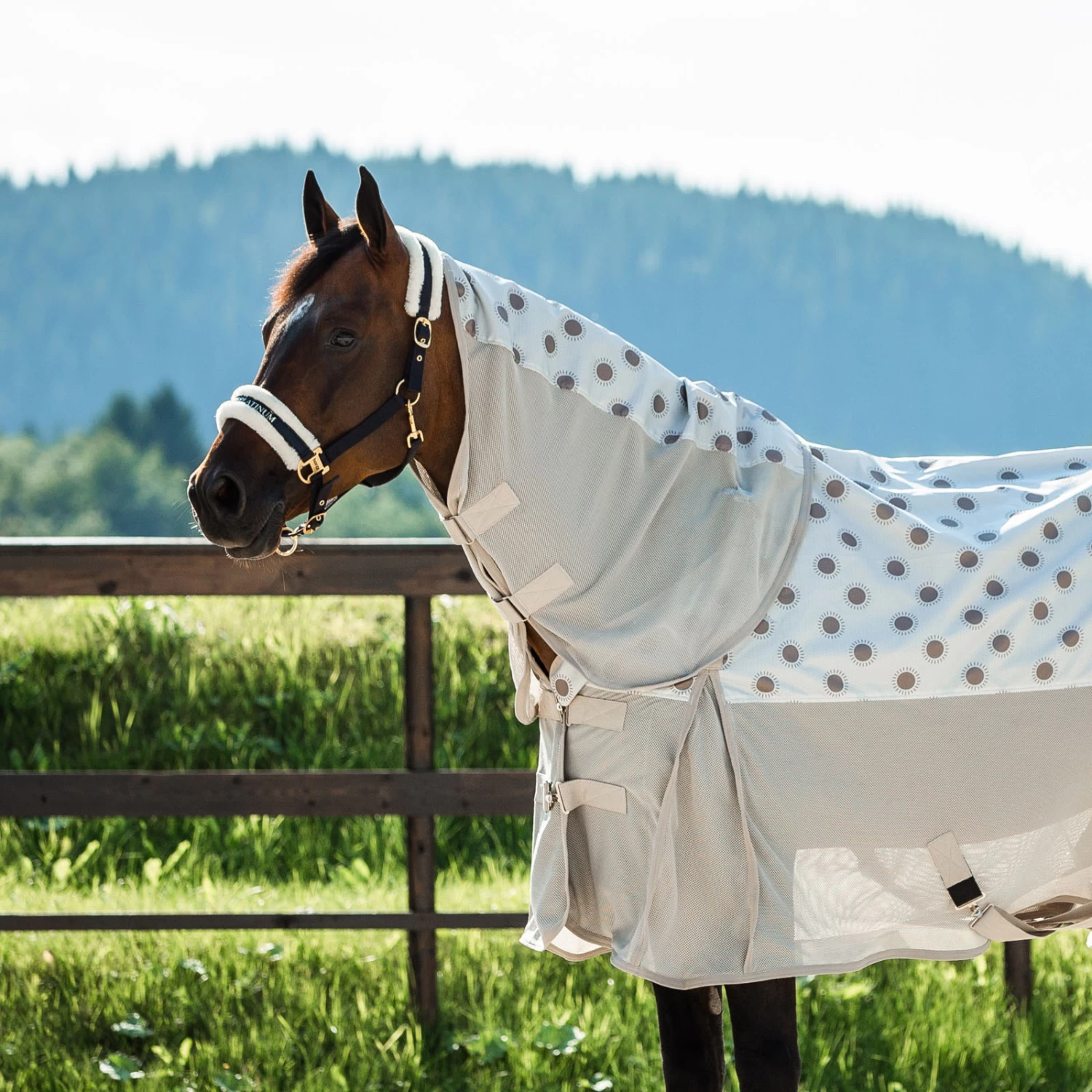 Horze Nevada Combo Shower/Fly Rug With Detachable Neck - Image 16