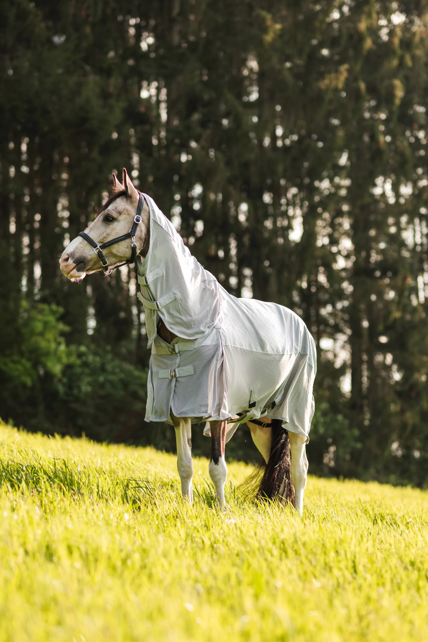 Horze Nevada Combo Shower/Fly Rug With Detachable Neck - Image 5