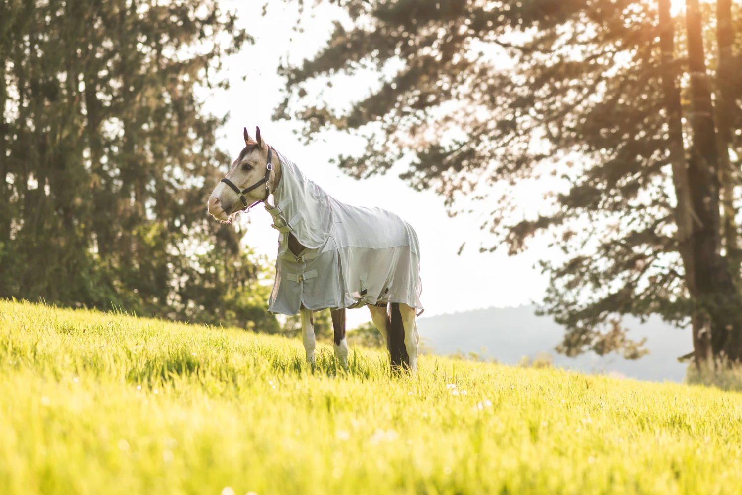 Horze Nevada Combo Shower/Fly Rug With Detachable Neck - Image 8