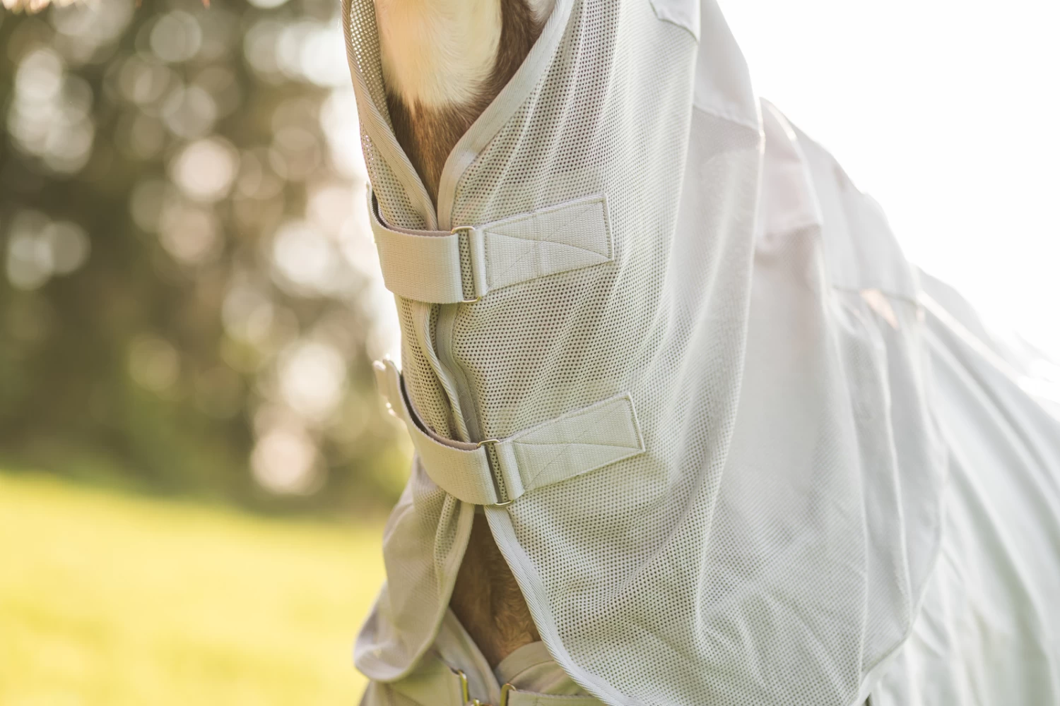 Horze Nevada Combo Shower/Fly Rug With Detachable Neck - Image 11