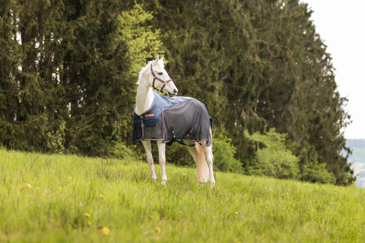 Horze Nevada Lightweight Wool & Mesh Rug - Image 12