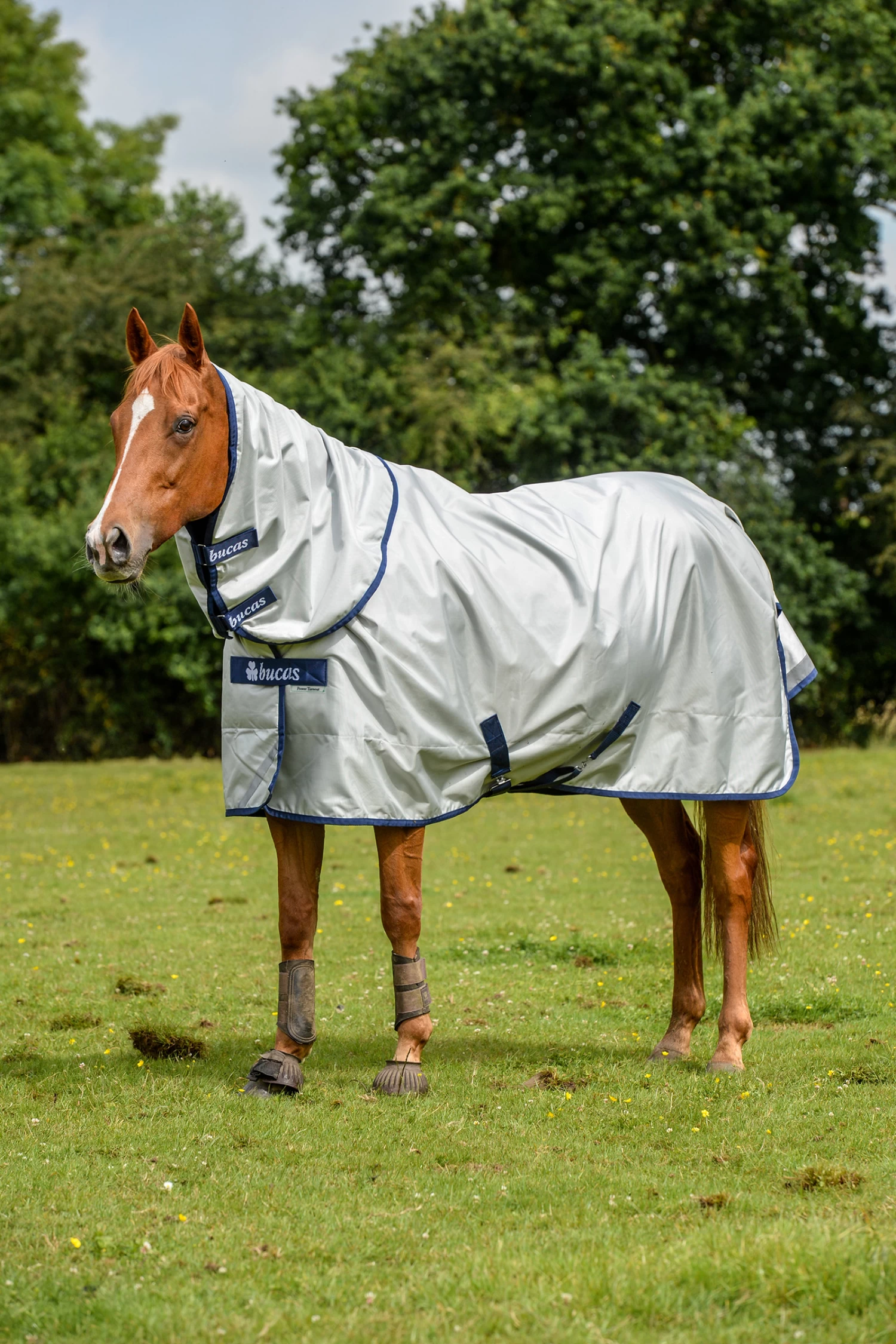 Bucas Power Turnout Combi Neck, 0g