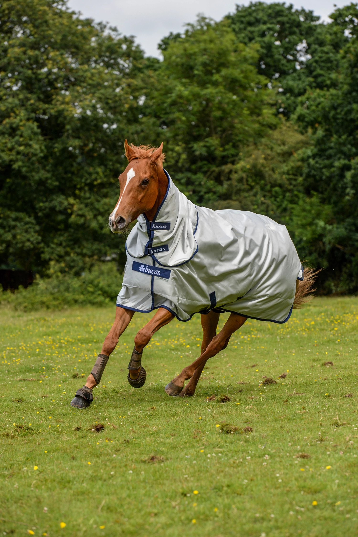 Bucas Power Turnout Combi Neck, 0g - Image 2