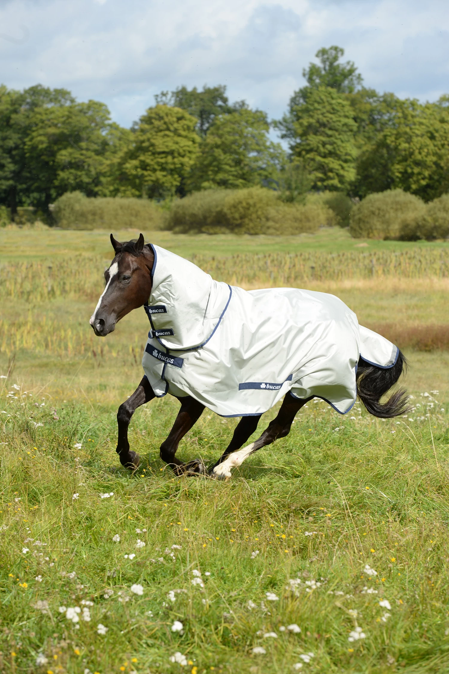 Bucas Power Turnout Combi Neck, 0g - Image 3