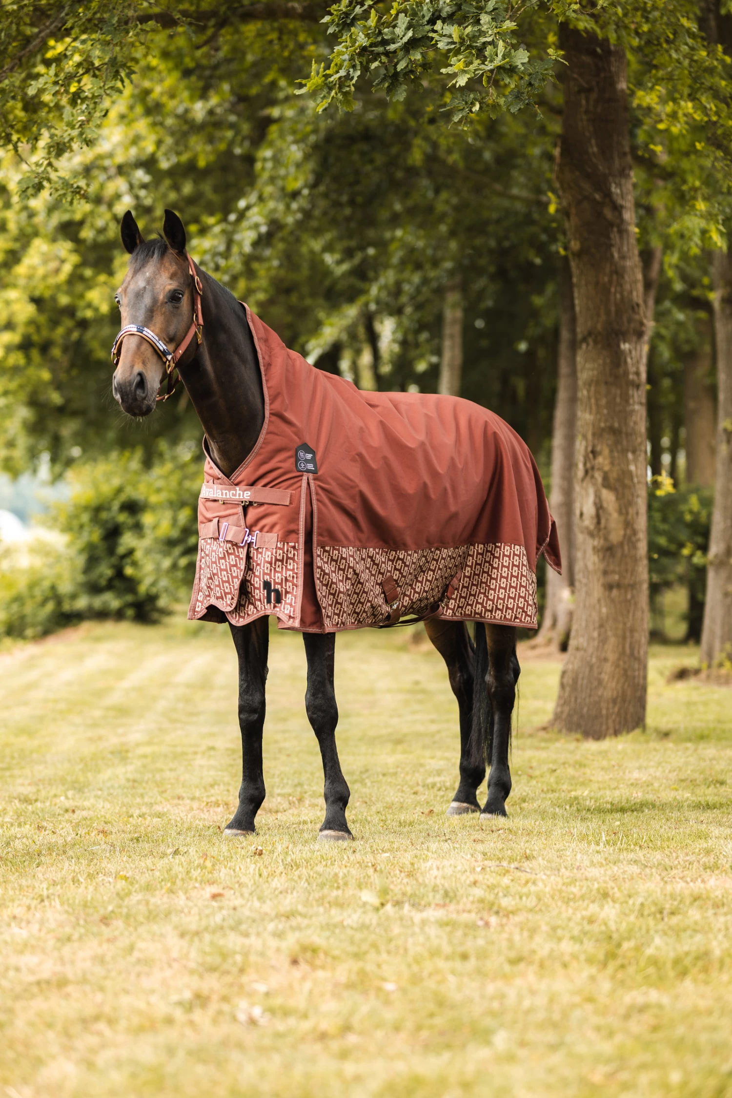 Horze Avalanche High Neck Turnout Rug, 150g - Image 8