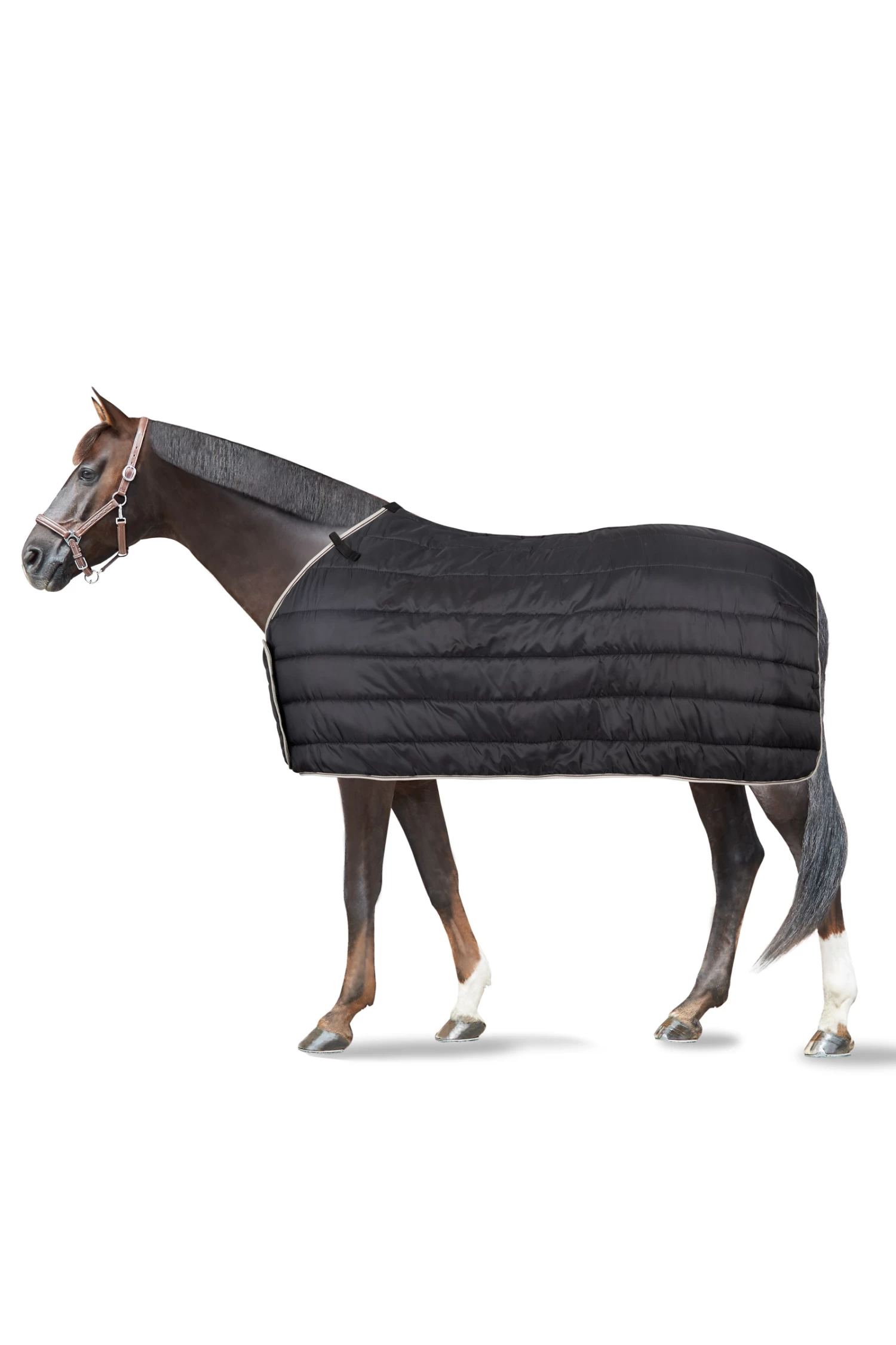 Horze Sudbury 2-in-1 Turnout Rug, 100g, 200g - Image 2