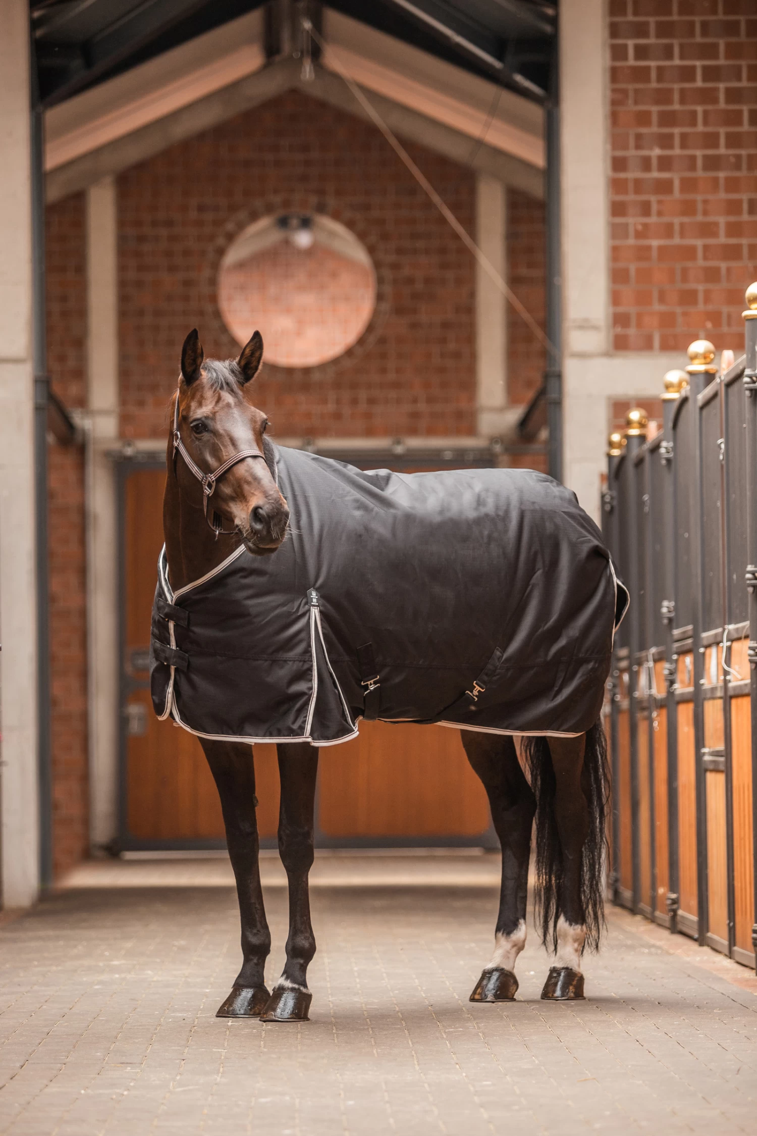 Horze Sudbury 2-in-1 Turnout Rug, 100g, 200g - Image 6