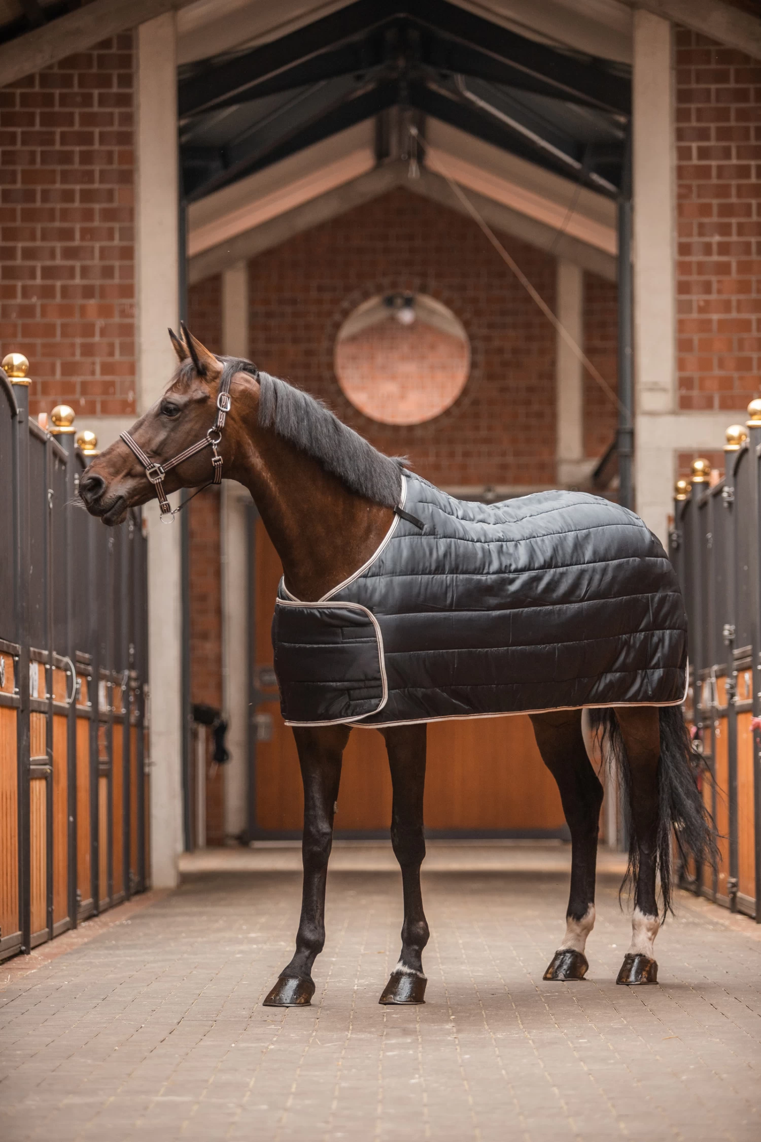 Horze Sudbury 2-in-1 Turnout Rug, 100g, 200g - Image 7