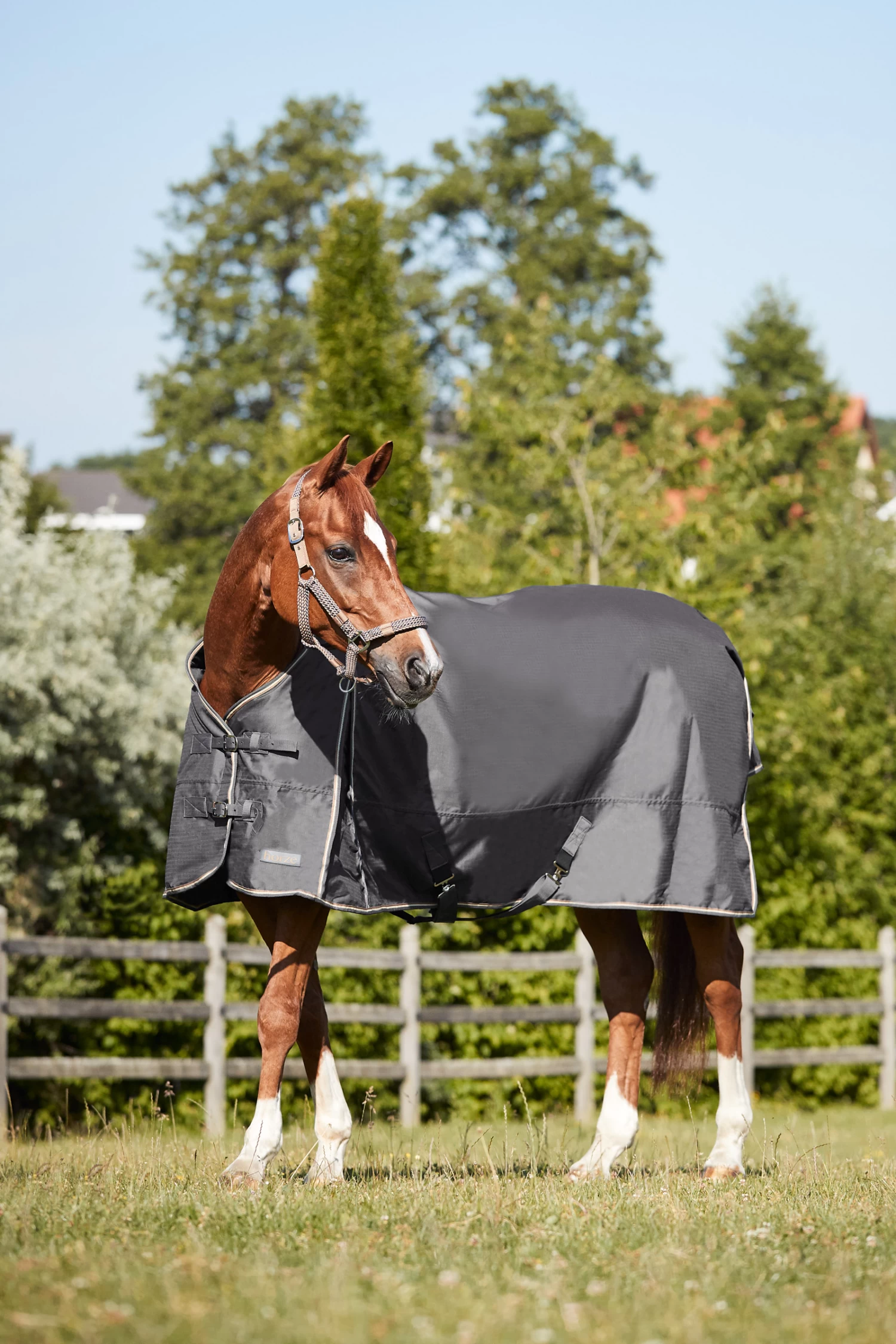 Horze Glasgow Turnout Rug, 350g - Image 14