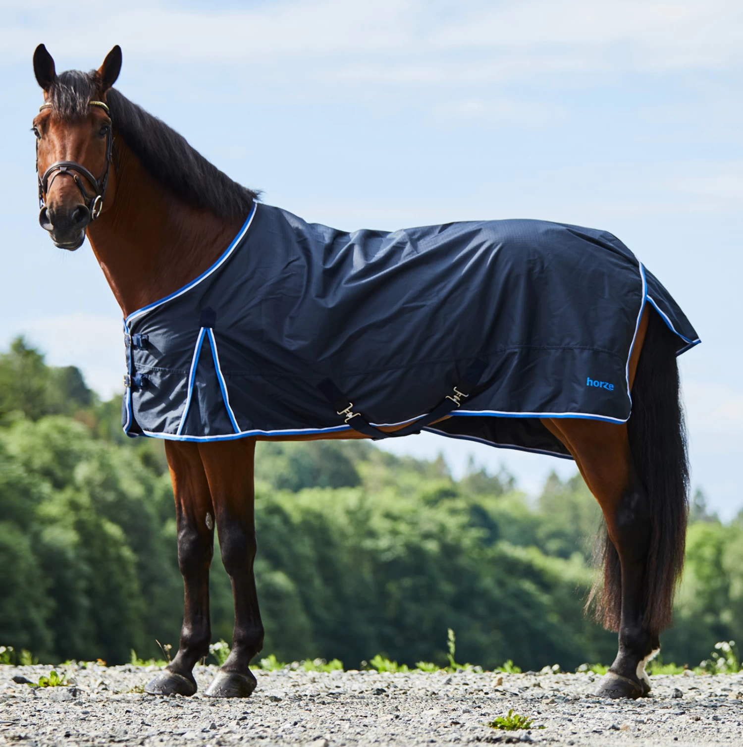 Horze Glasgow Turnout Rug, 350g
