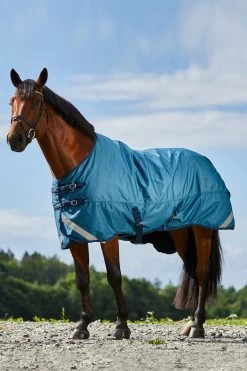 Horze Turin Lightweight Turnout Rug, 50g
