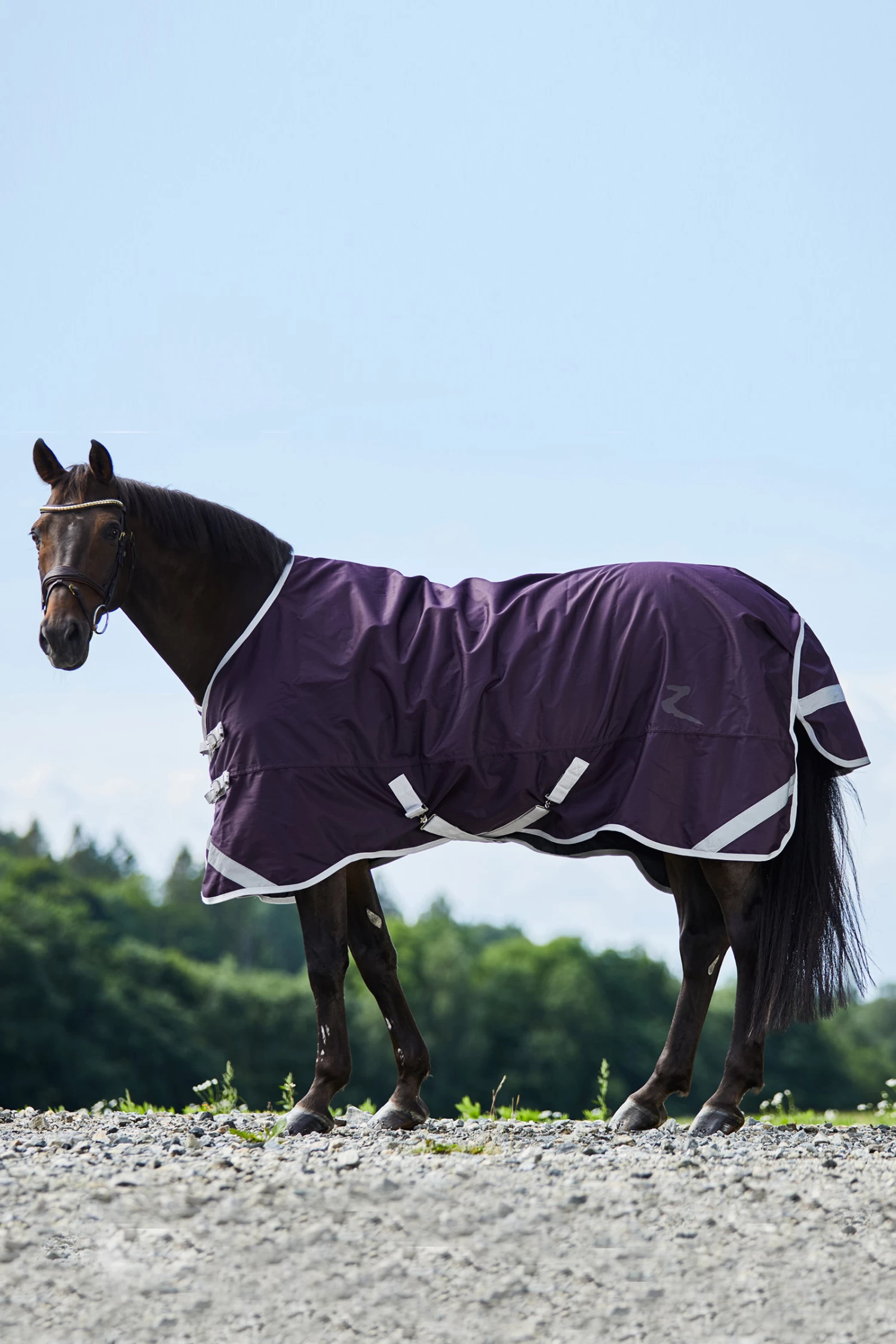 Horze Turin Lightweight Turnout Rug, 50g - Image 3