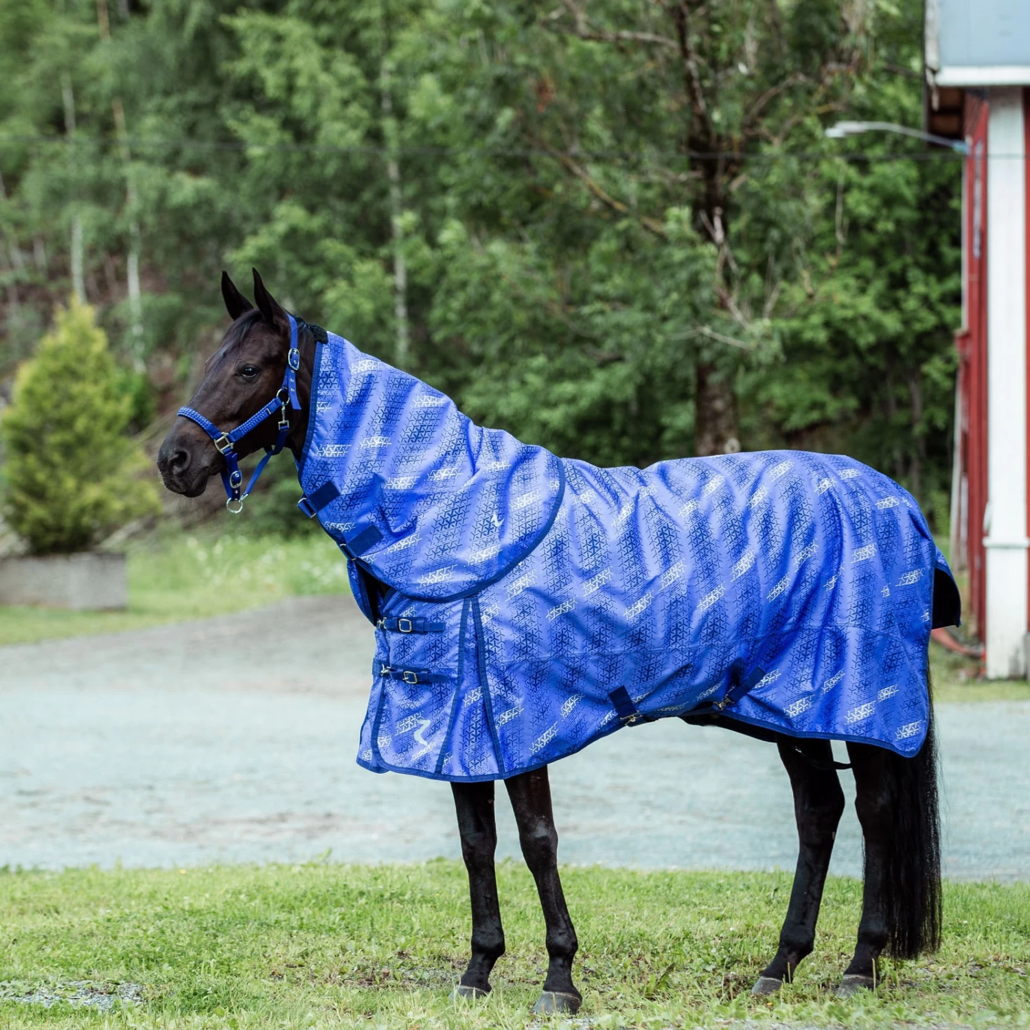 Horze Nevada 1200D Turnout Sheet, 100G - Image 2