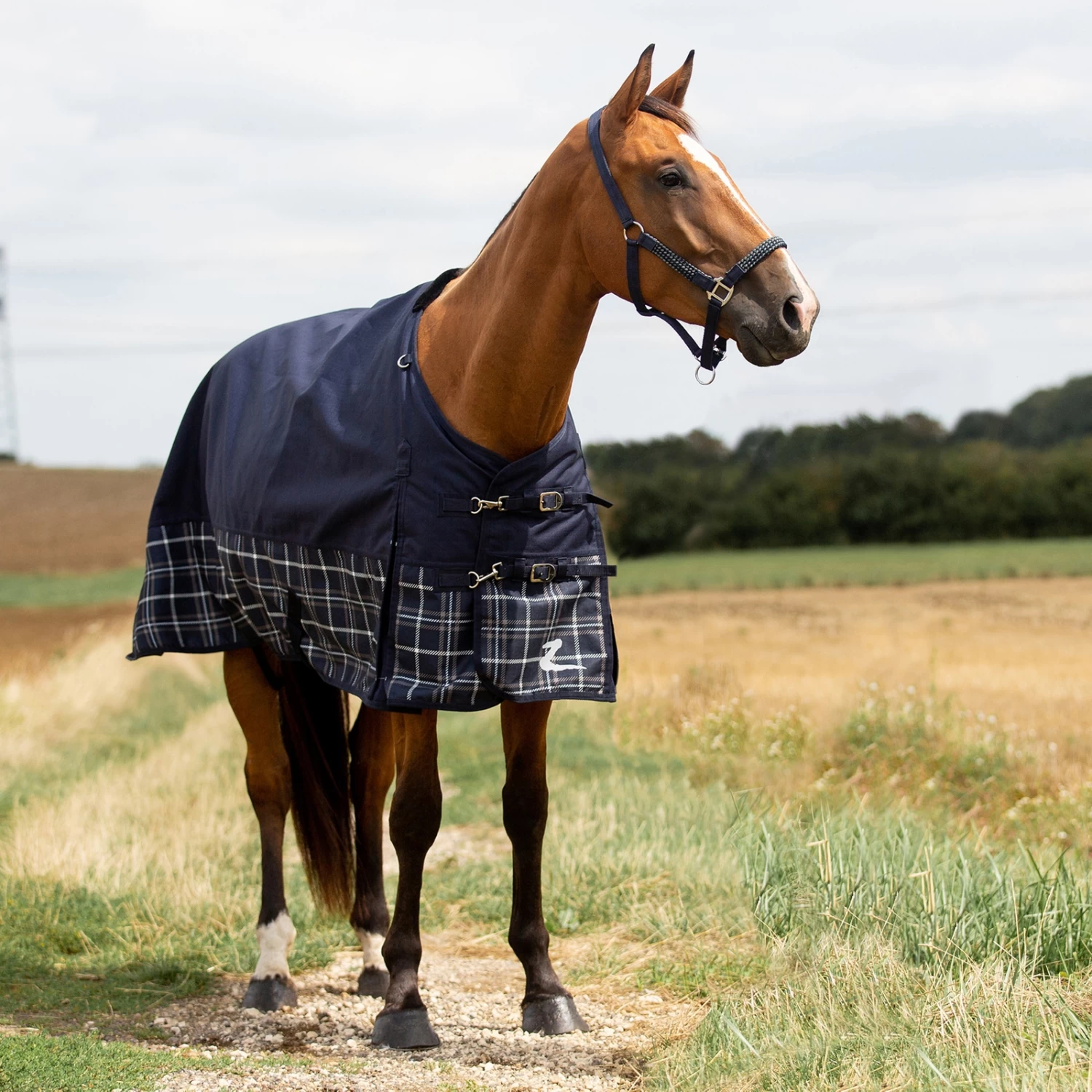 Horze Nevada 1200D Turnout Sheet, 100G - Image 4