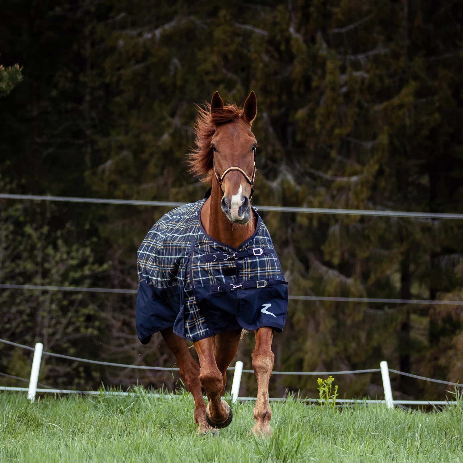 Horze Nevada 1200D Turnout Sheet, 100G - Image 11