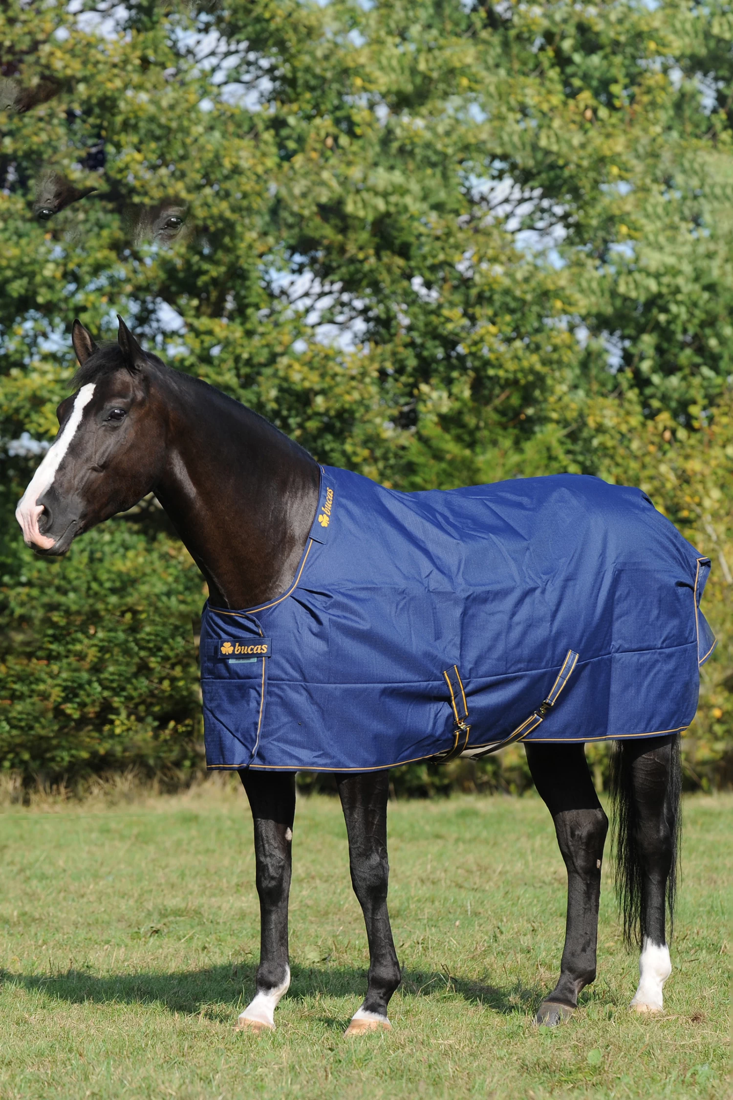 Bucas Irish Rurnout Rug, 50g - Image 4