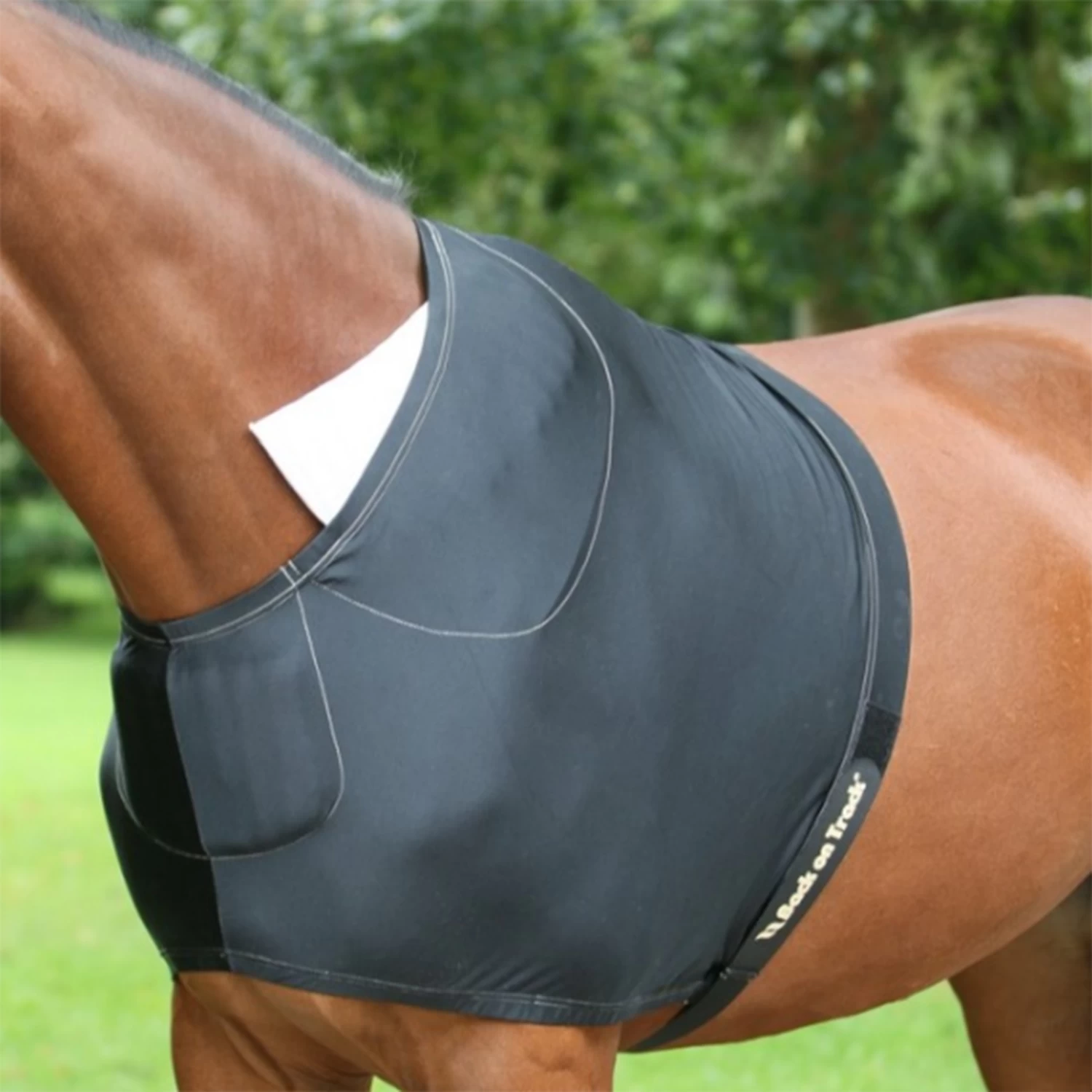 Back On Track Shoulder Guard