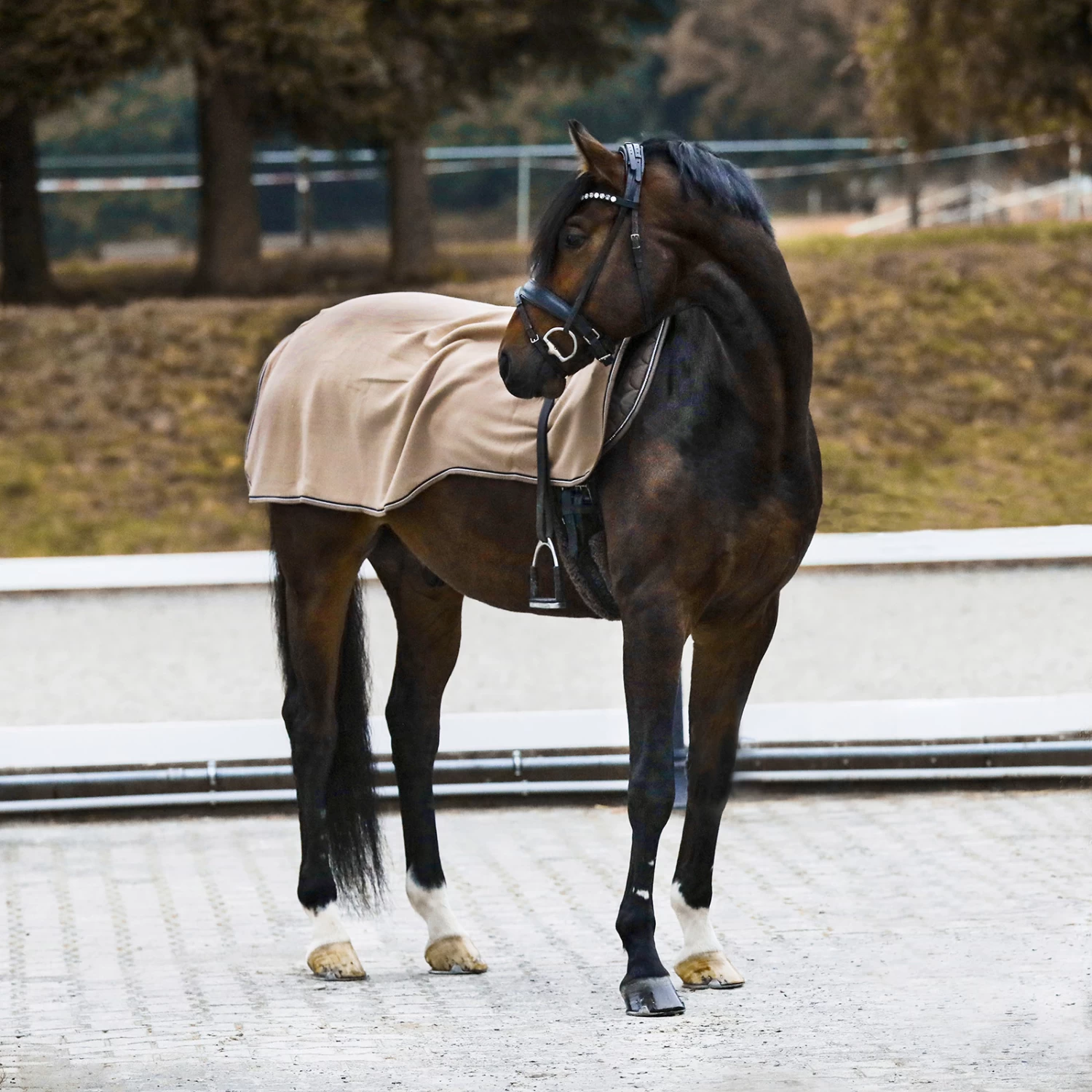 Horze Kiel Fleece Riding Rug - Image 17