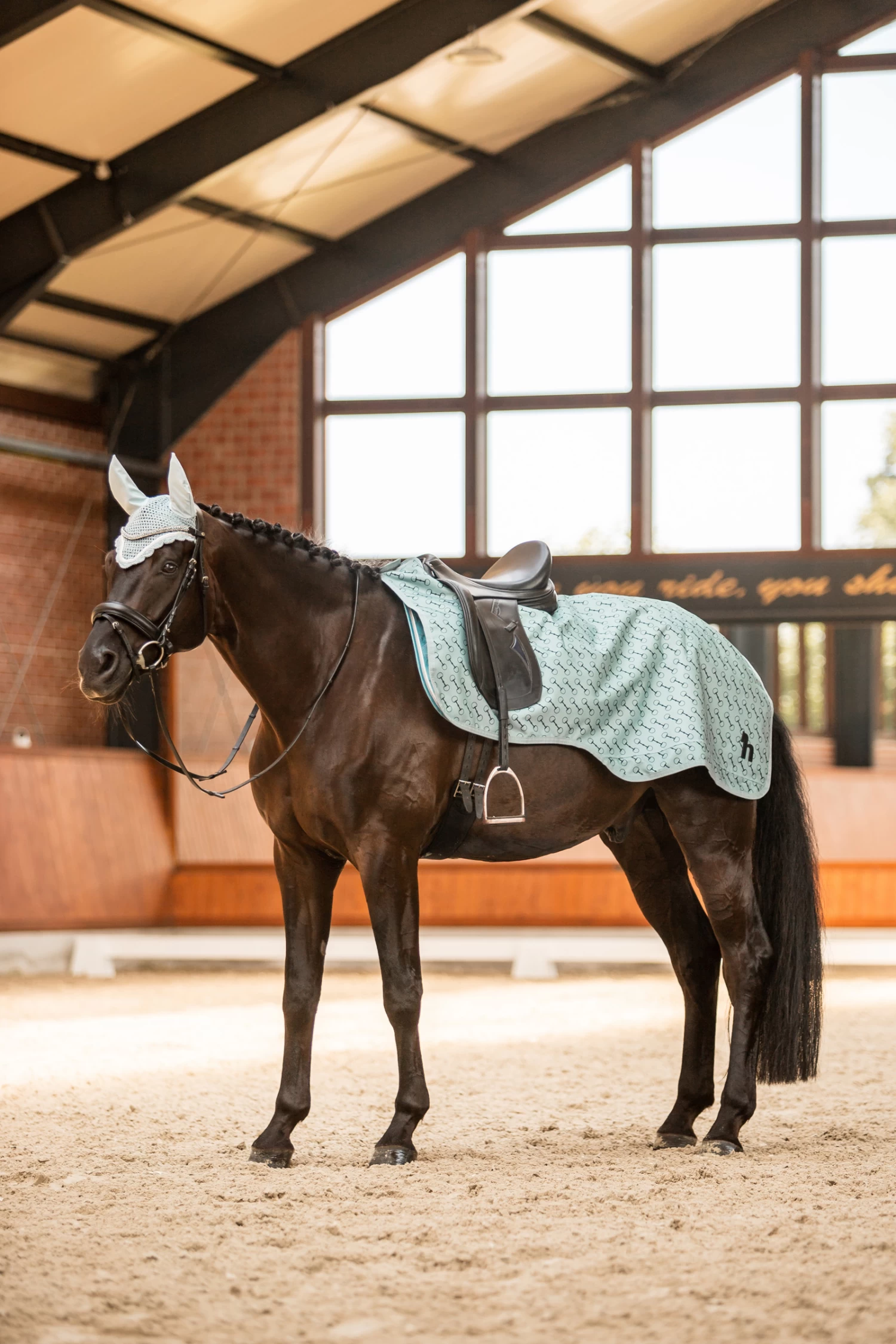 Horze Avalanche Riding Rug, 150g - Image 3