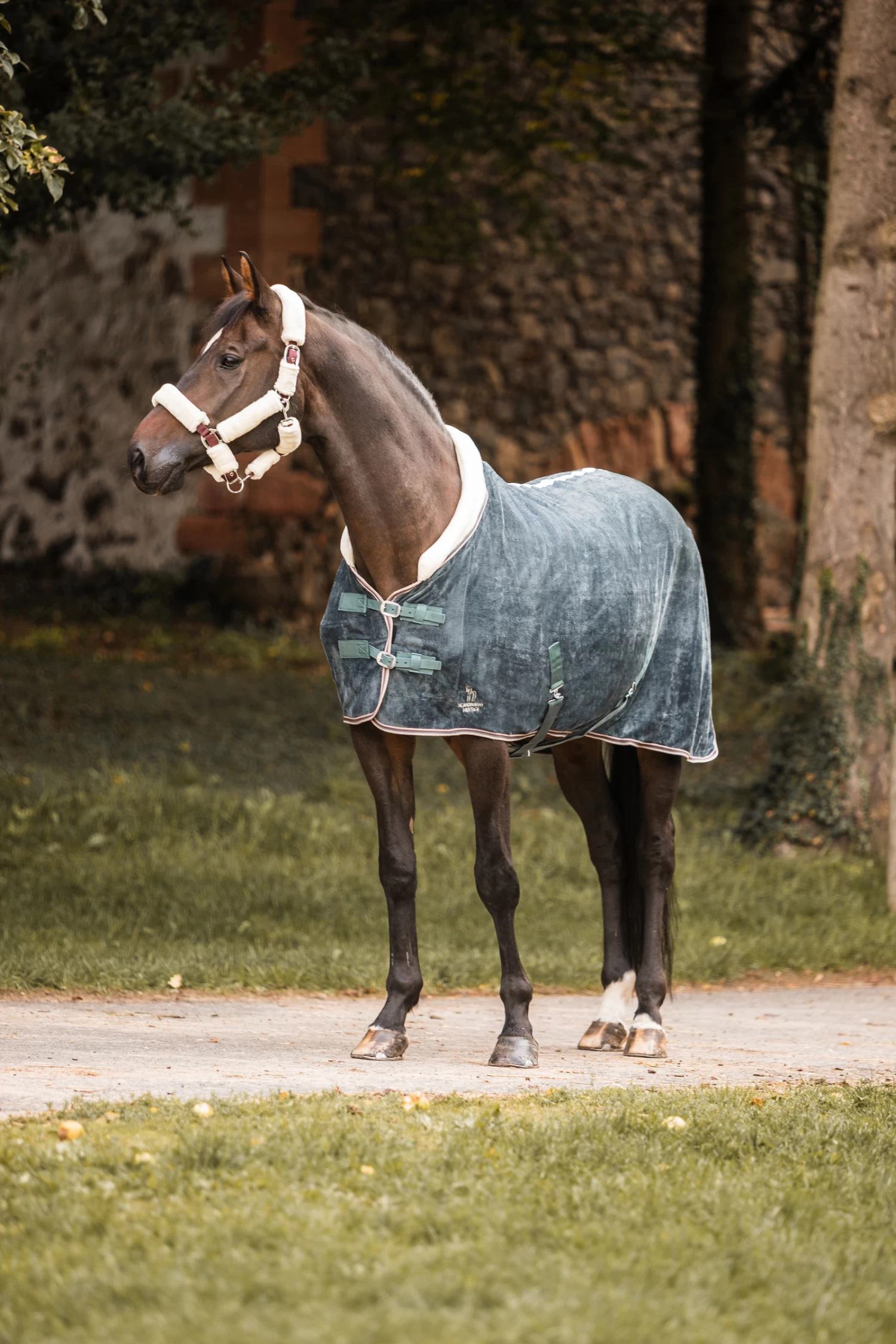 Horze Leigton Teens Collection Fleece Cooler Rug With Fur Collar - Image 4