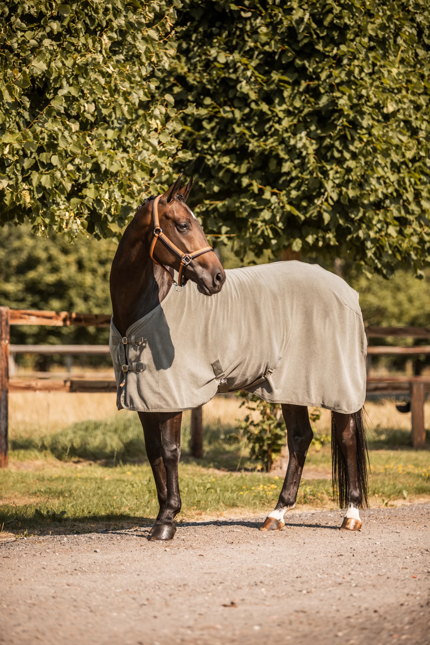 Horze Sandnes Fleece Cooler Rug - Image 4