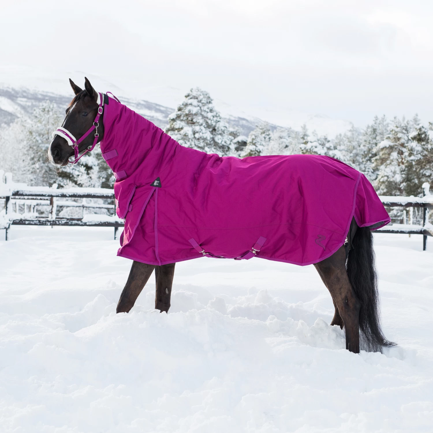 Horze Avalanche Combo Winter Rug, 350g - Image 8