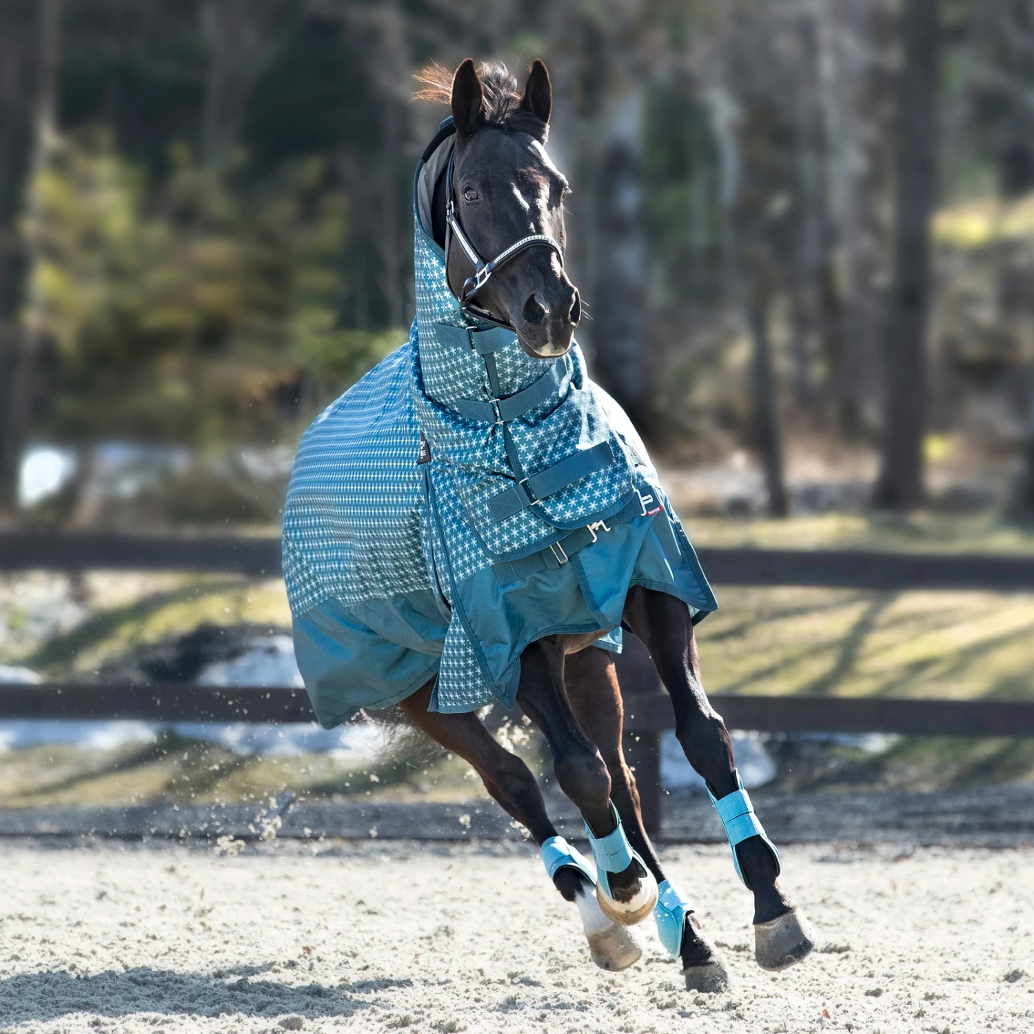 Horze Avalanche Combo Winter Rug, 350g