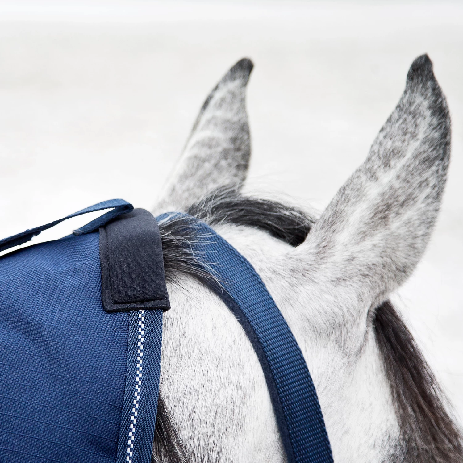 Horze Avalanche Combo Winter Rug, 350g - Image 14