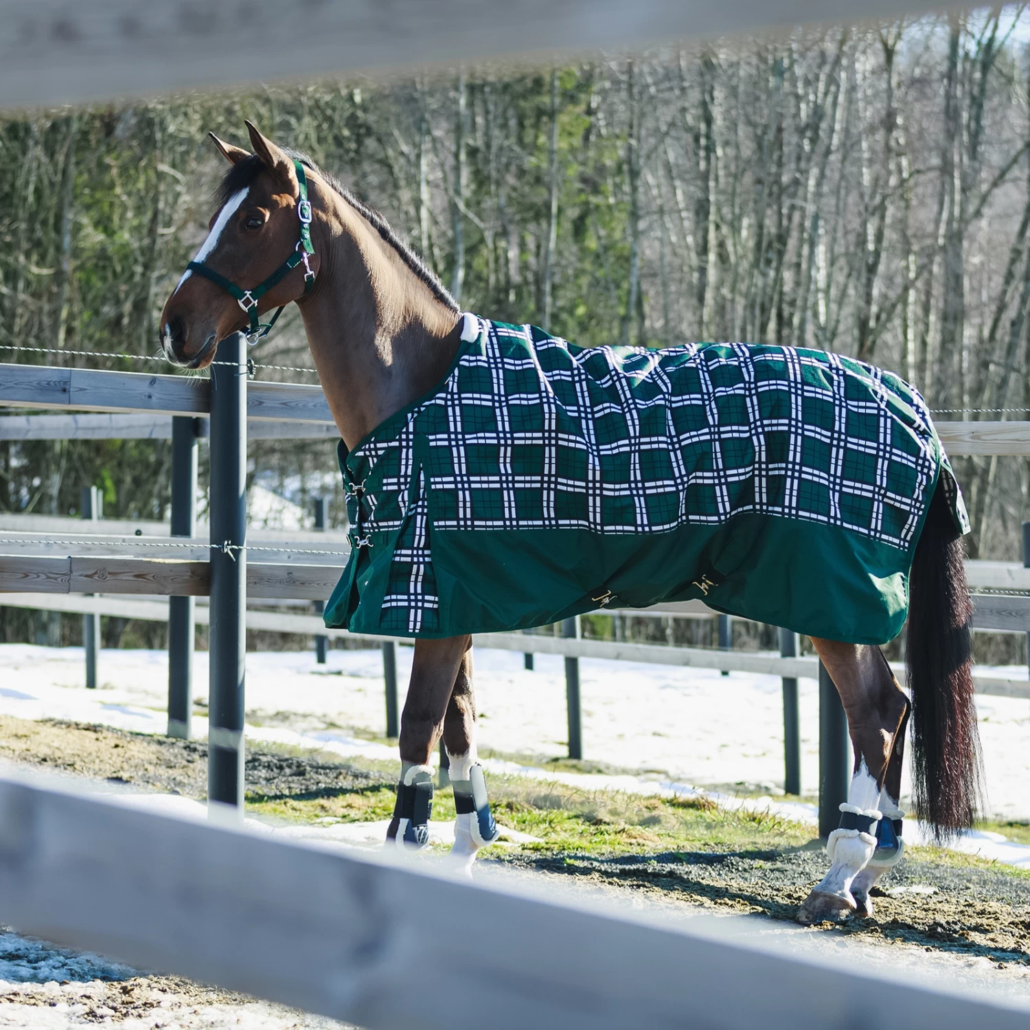 Horze Nevada Heavyweight Turnout Rug, 400g - Image 5