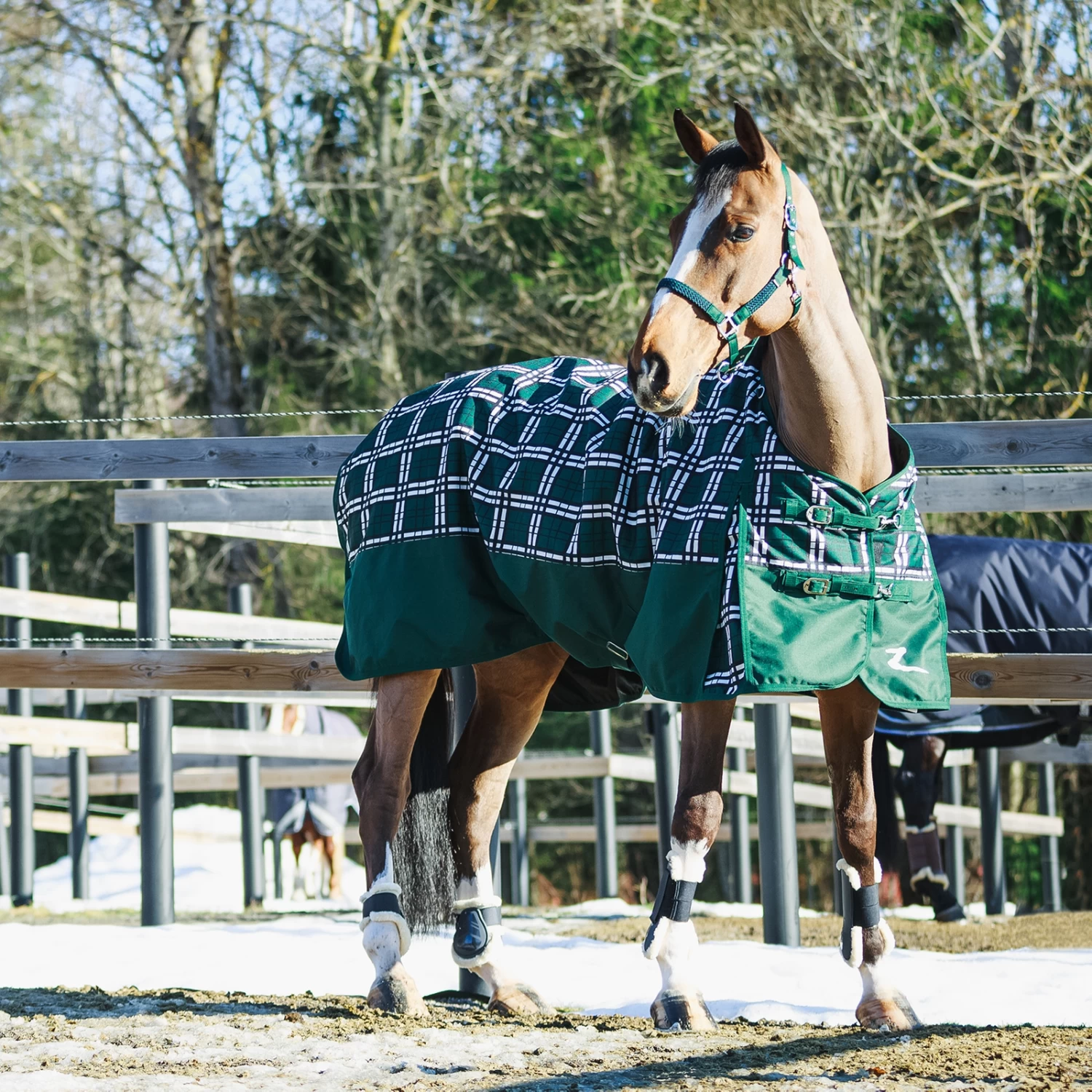 Horze Nevada Heavyweight Turnout Rug, 400g - Image 6