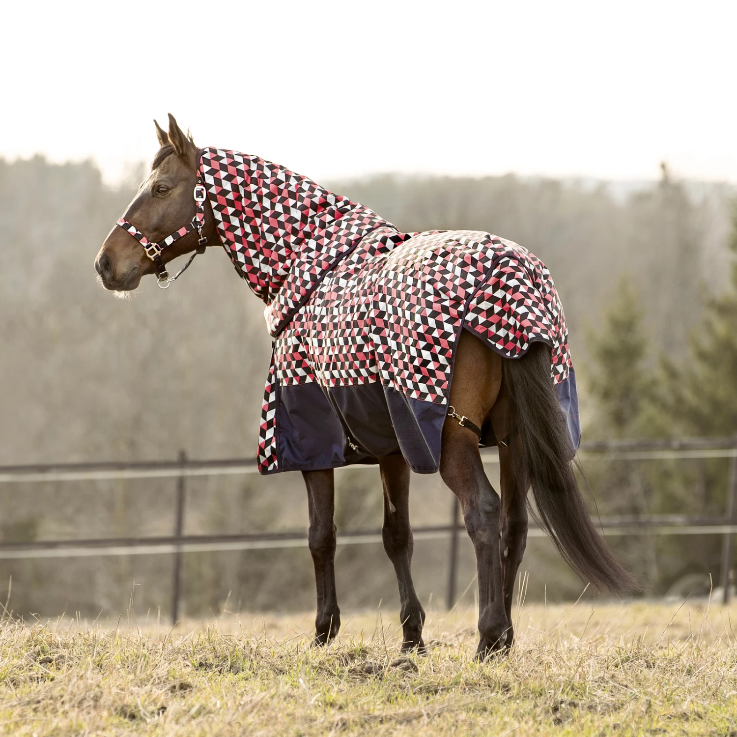 Horze Nevada Heavyweight Turnout Rug, 400g - Image 19