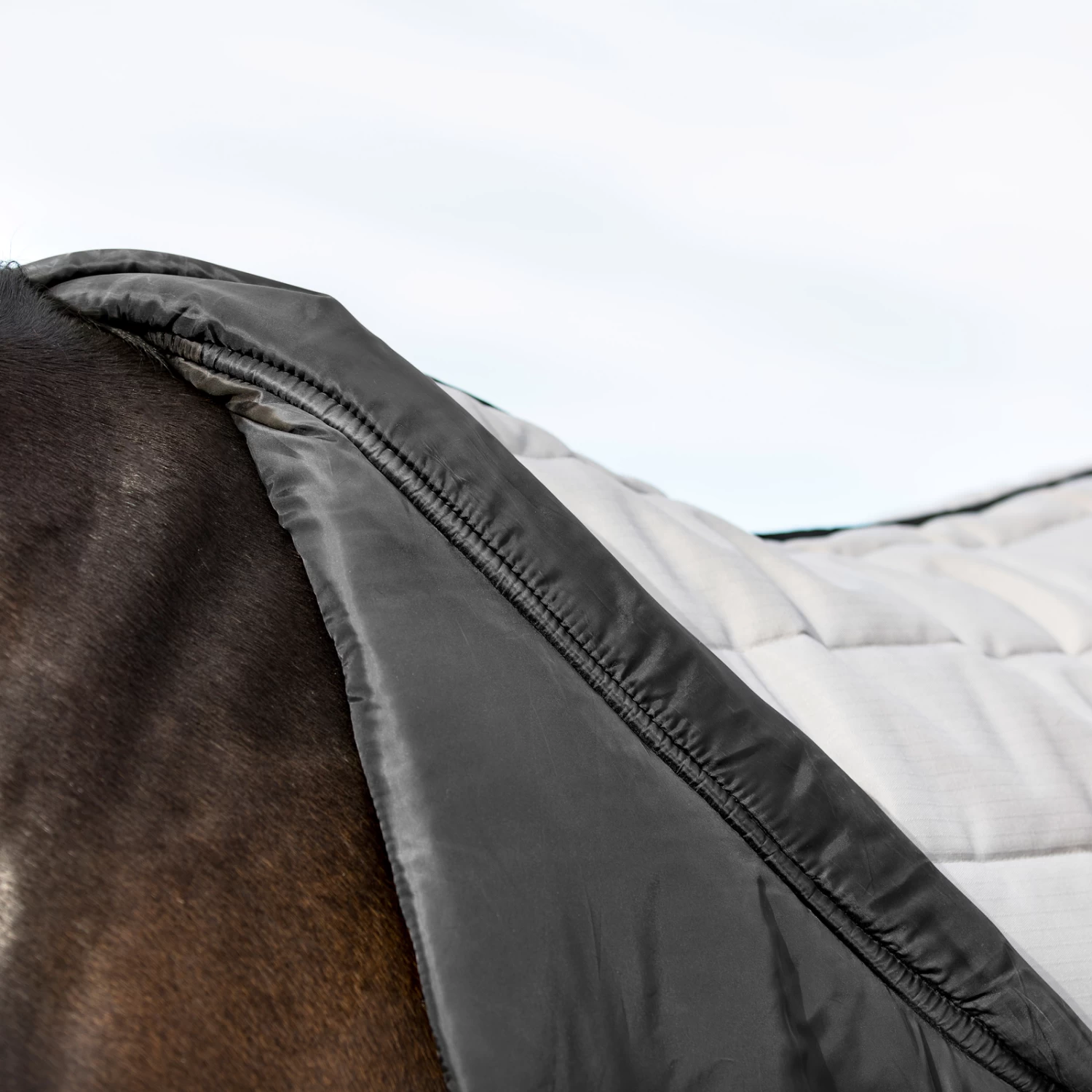 B Vertigo Tim Stable Rug, 400g - Image 5