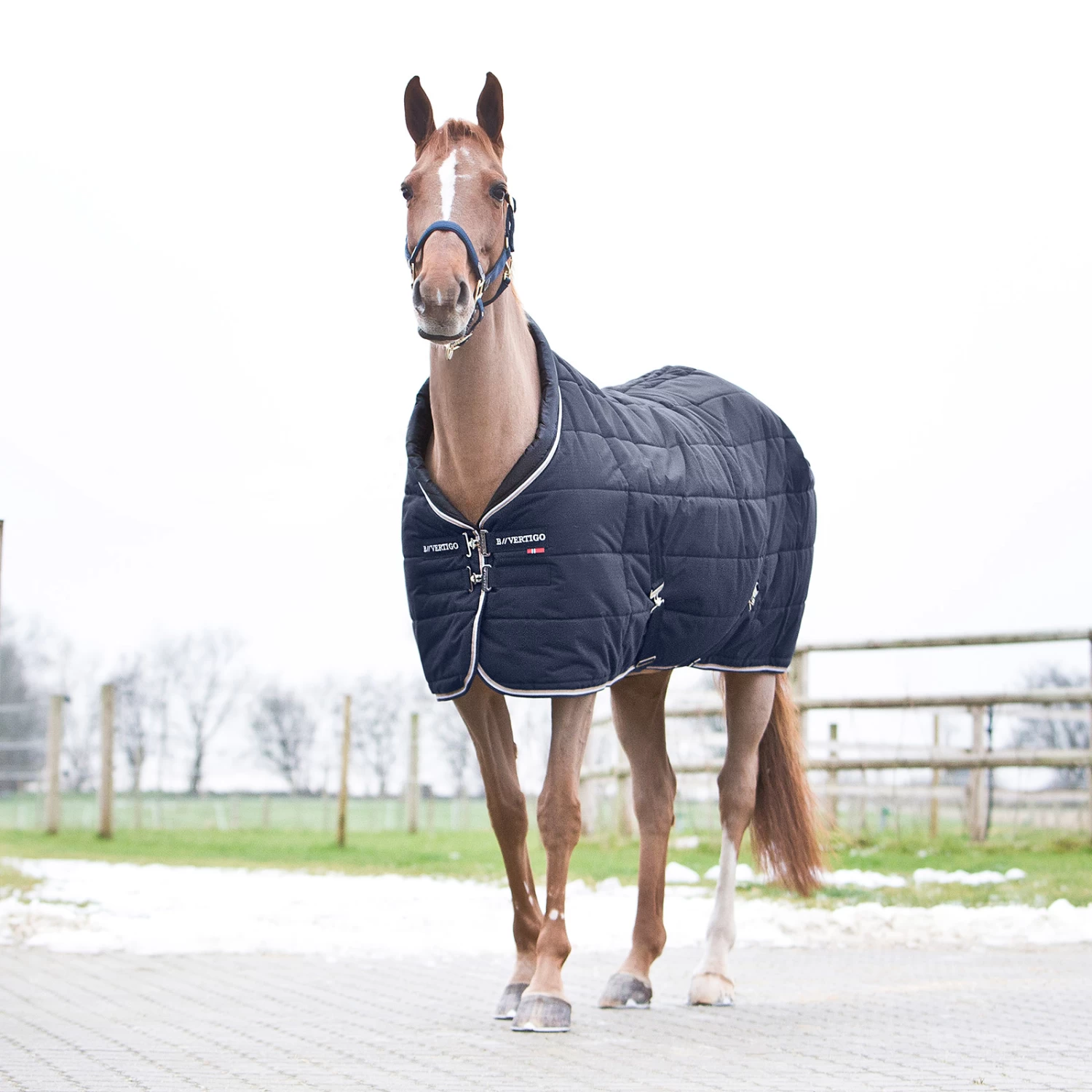 B Vertigo Tim Stable Rug, 400g - Image 8