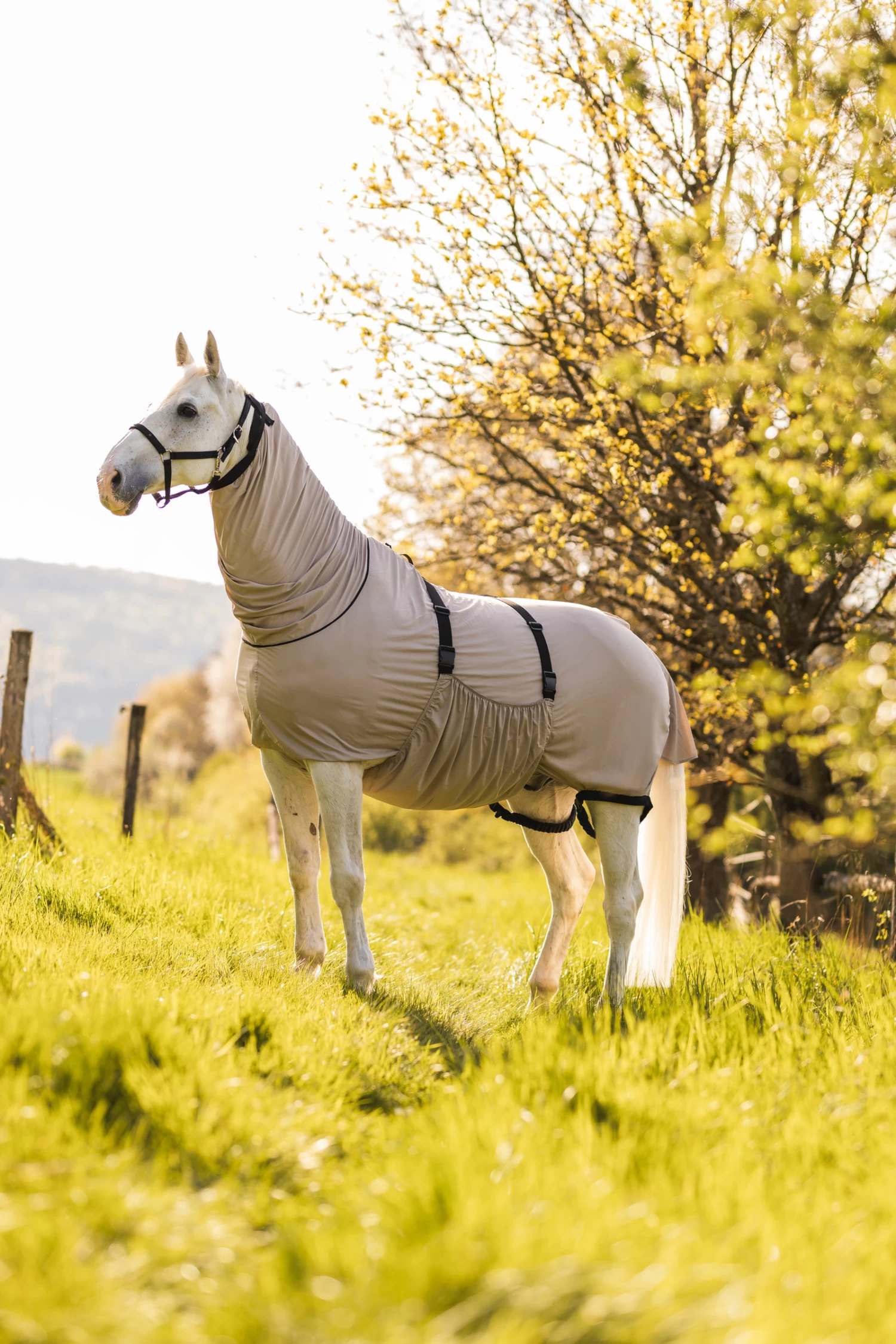 Horze Sweet Itch Rug - Image 6