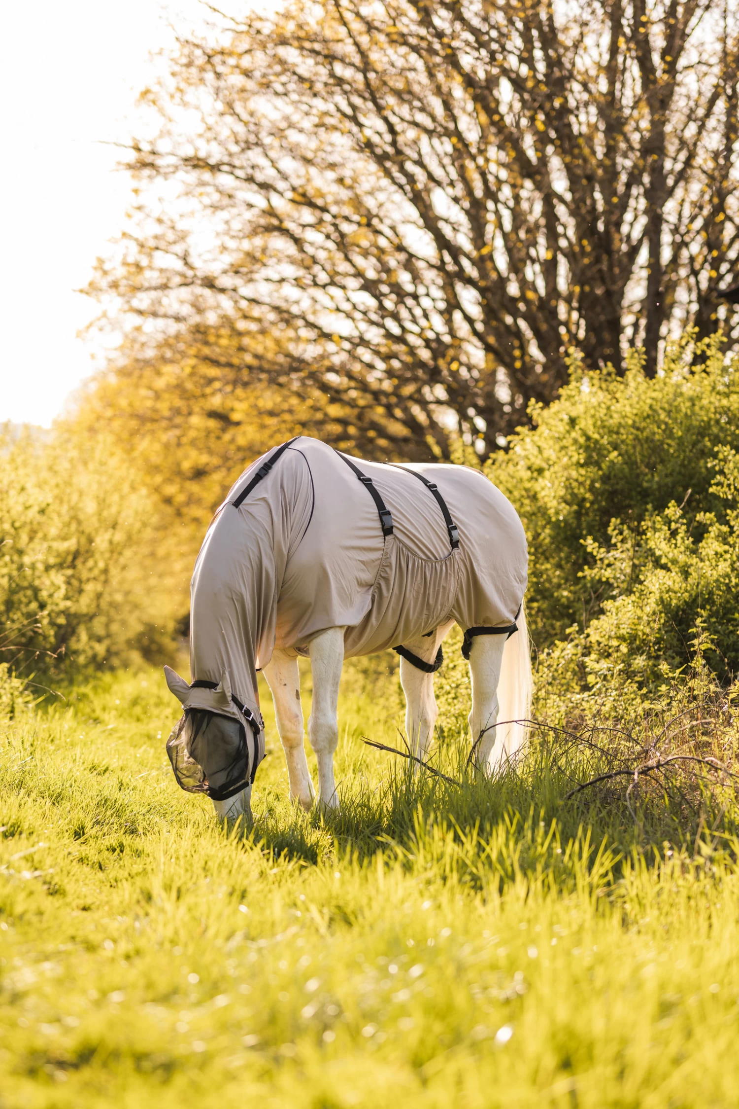 Horze Sweet Itch Rug - Image 7