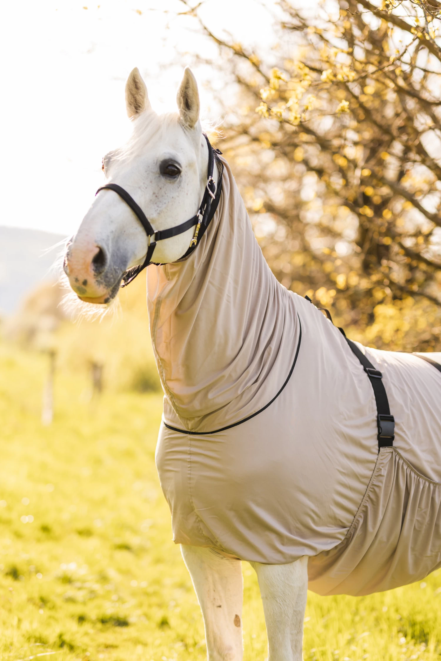 Horze Sweet Itch Rug - Image 8