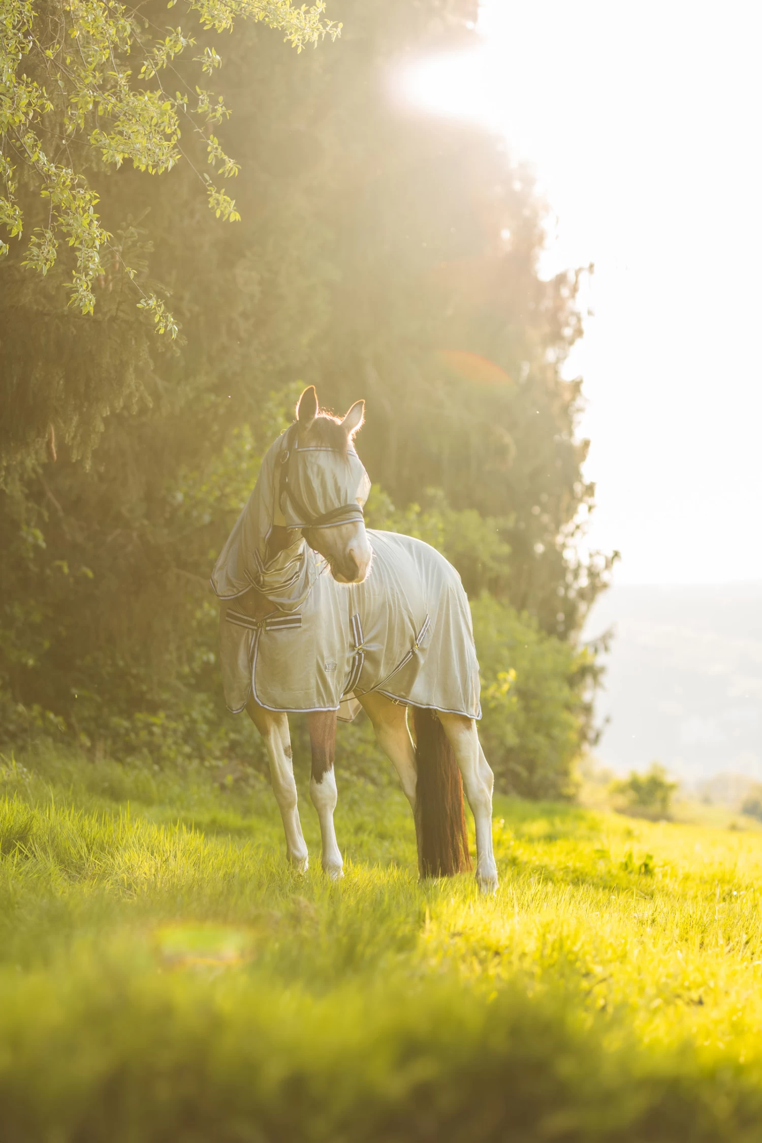 Horze La Pampa Fly Set - Image 12