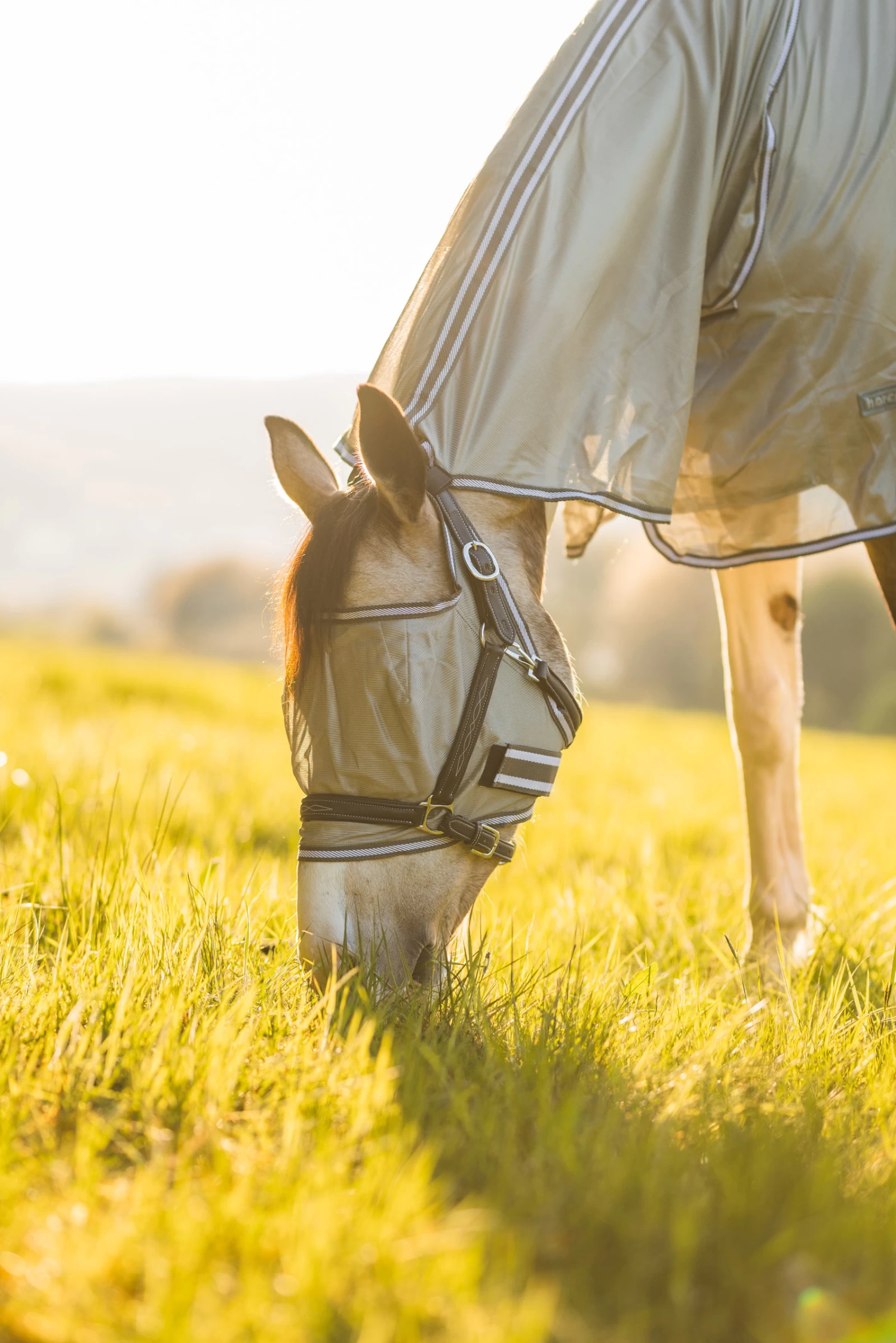 Horze La Pampa Fly Set - Image 14